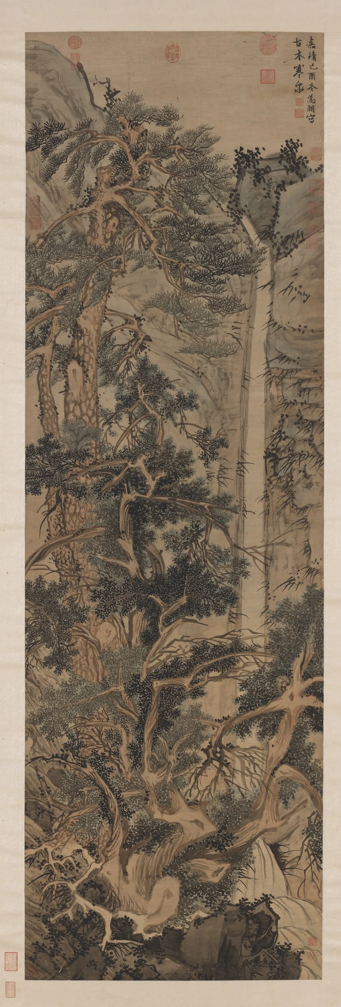 pine and waterfall.jpg