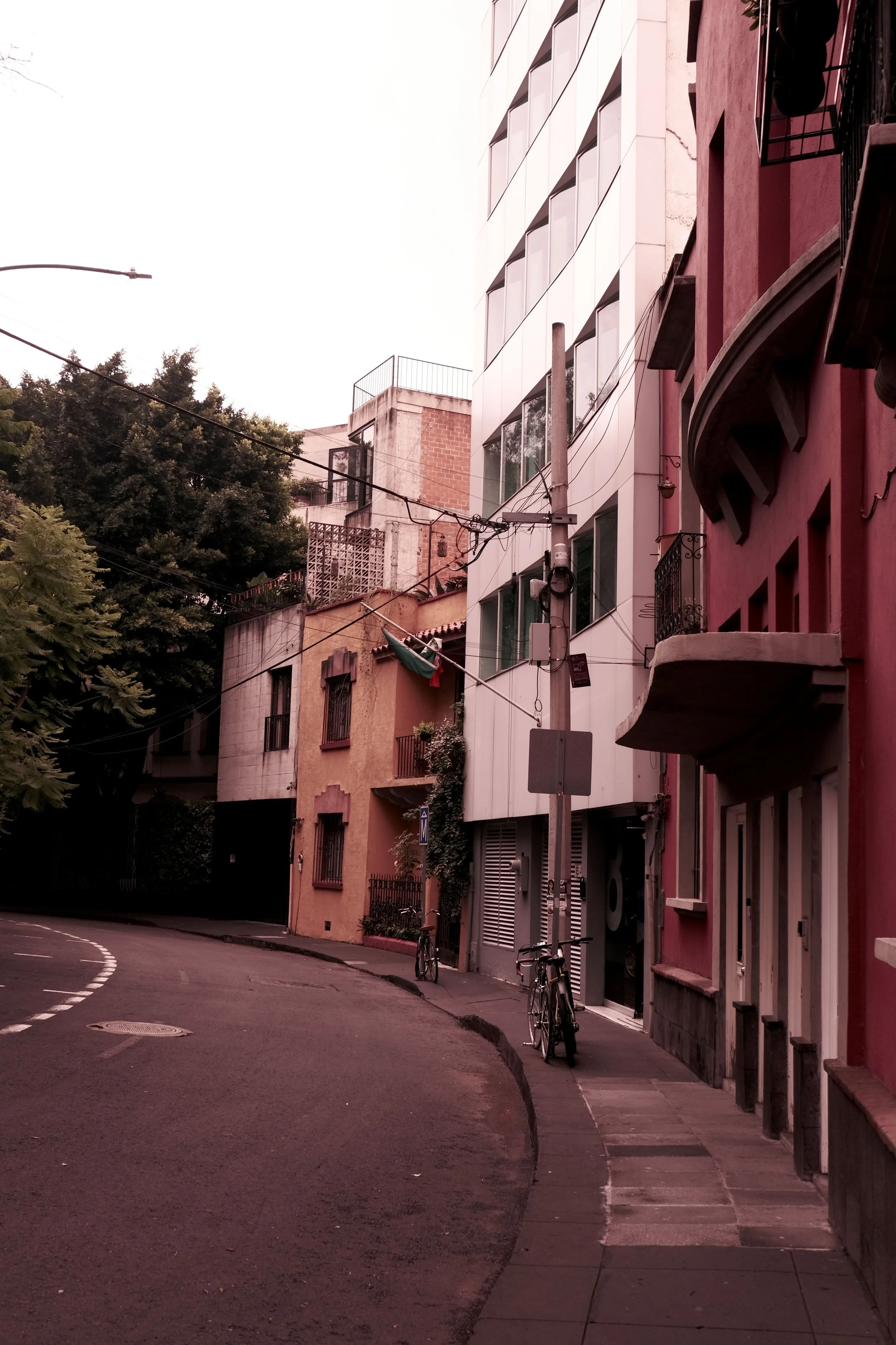 DSCF5493.JPG