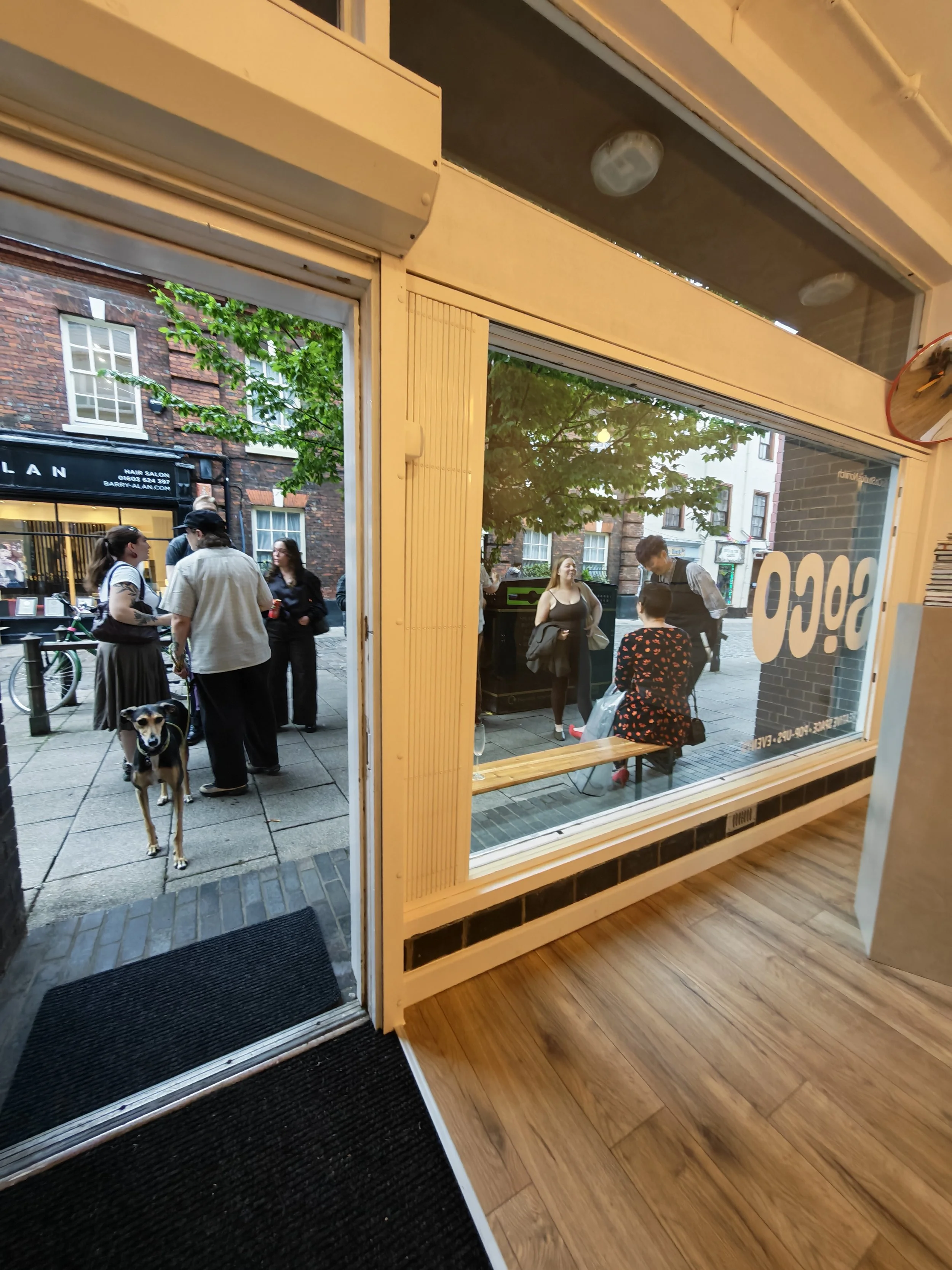 View from inside a shop looking out to a busy street with pedestrians, a dog, and buildings across the street, with trees adding greenery.