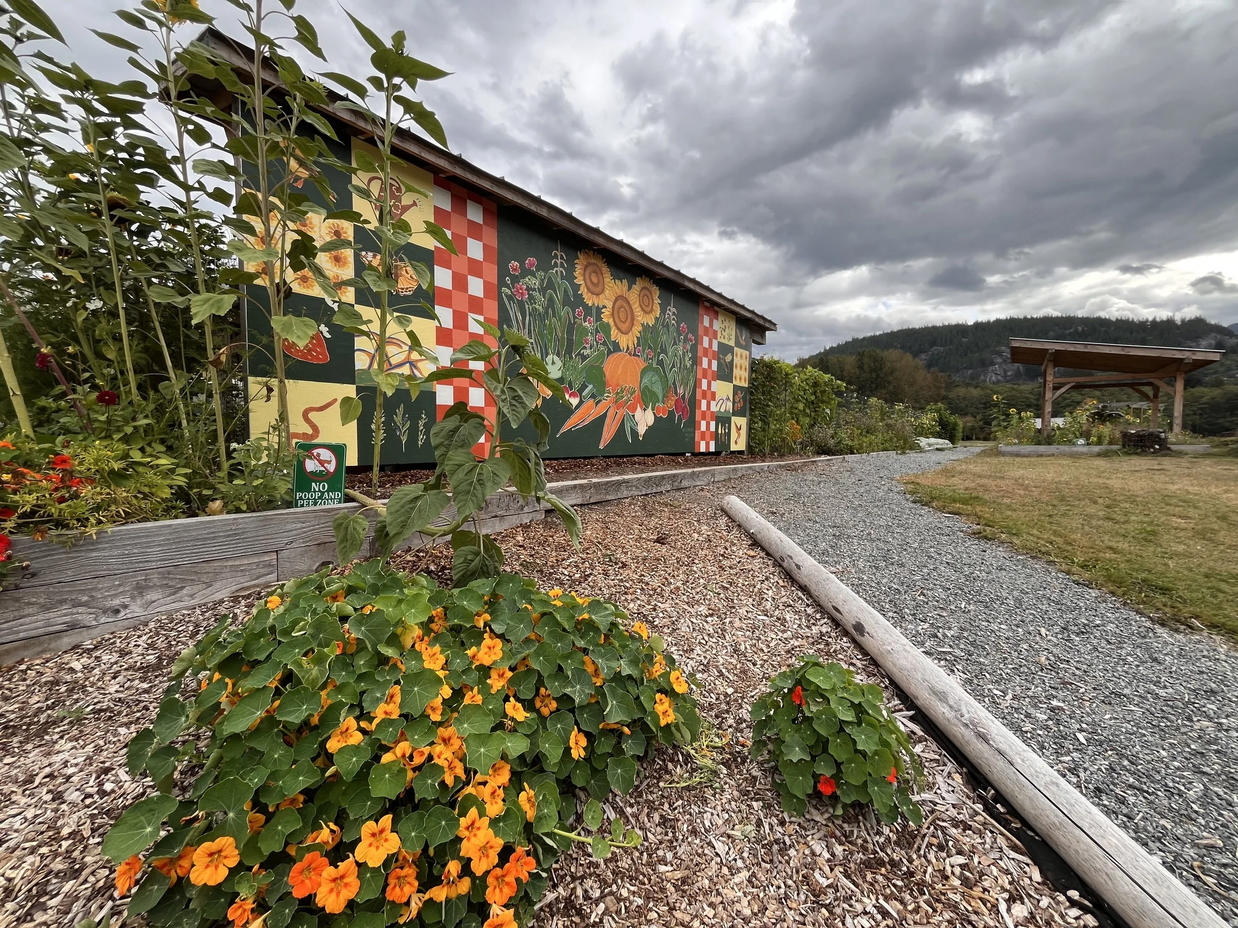 A Strong Voice for Squamish