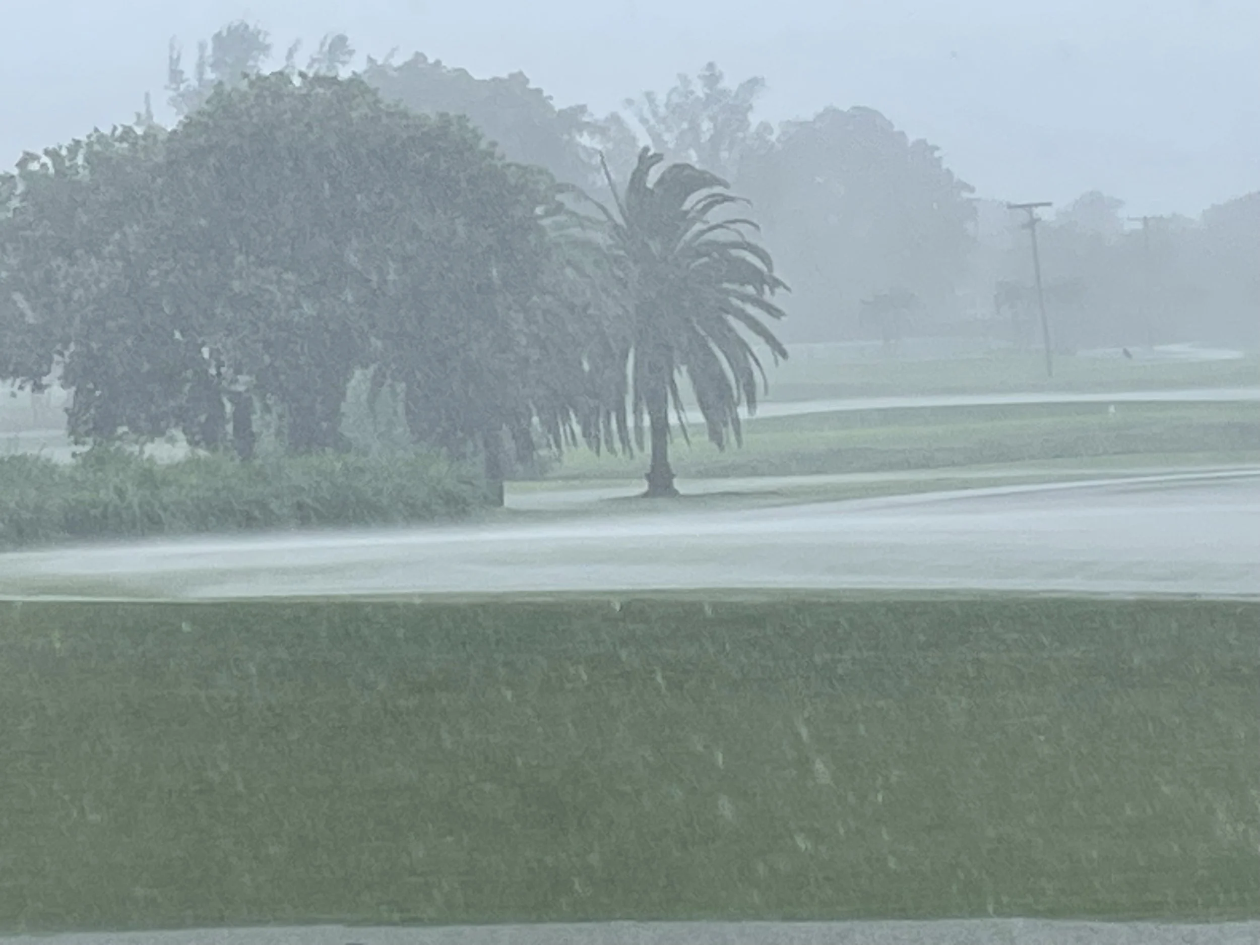 Wet Golf Course