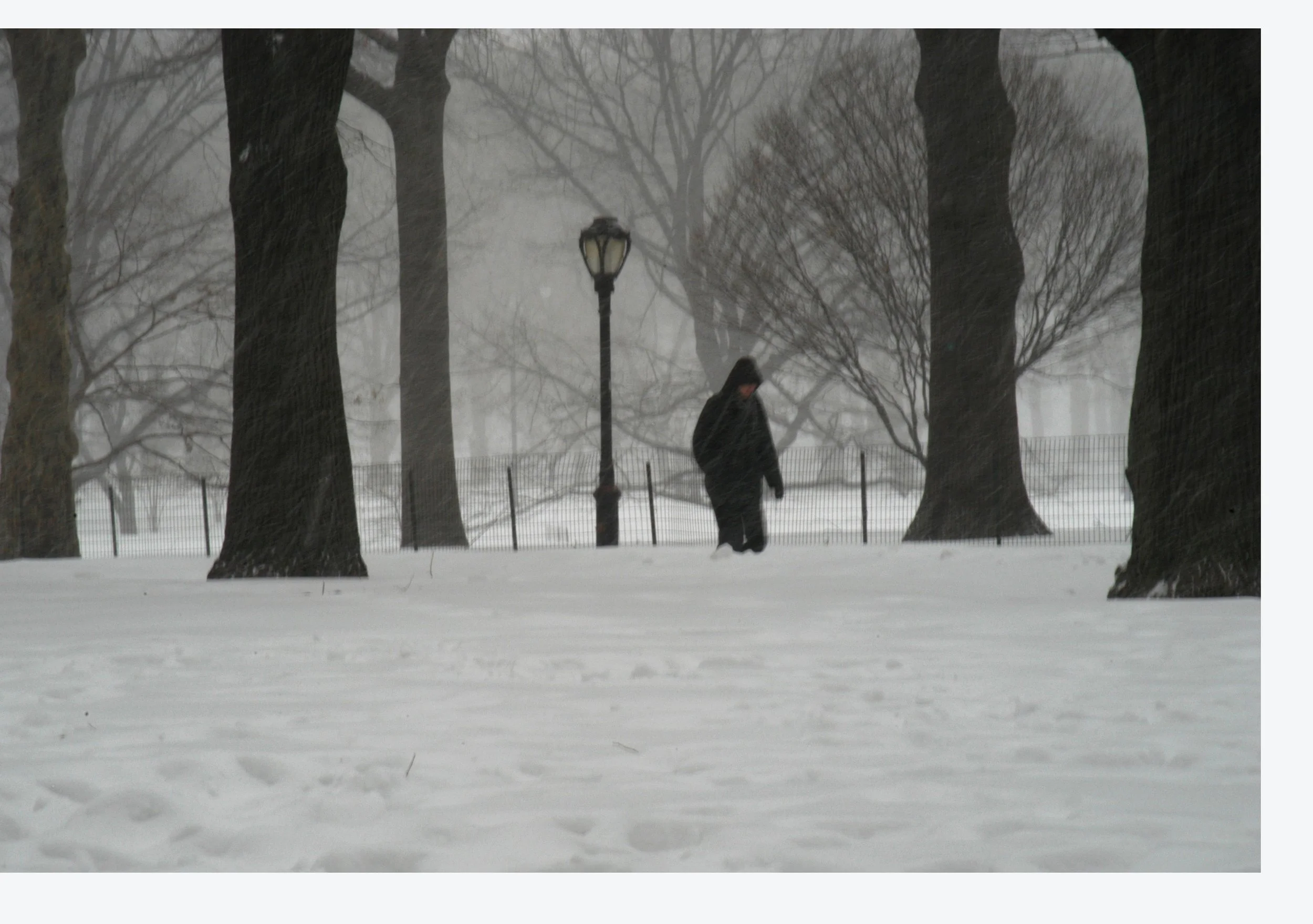 Freezing Lady in Central Park