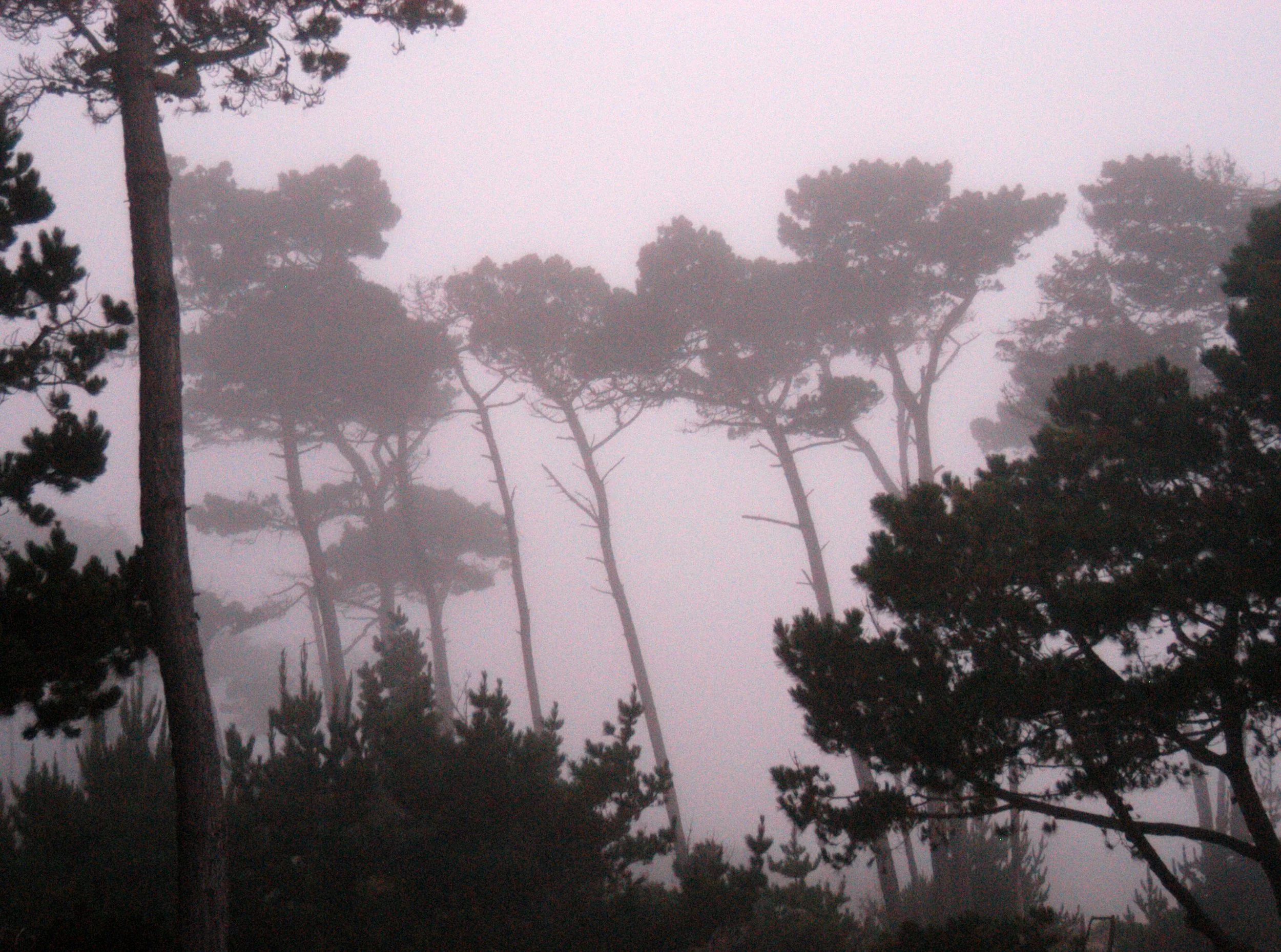 Carmel
