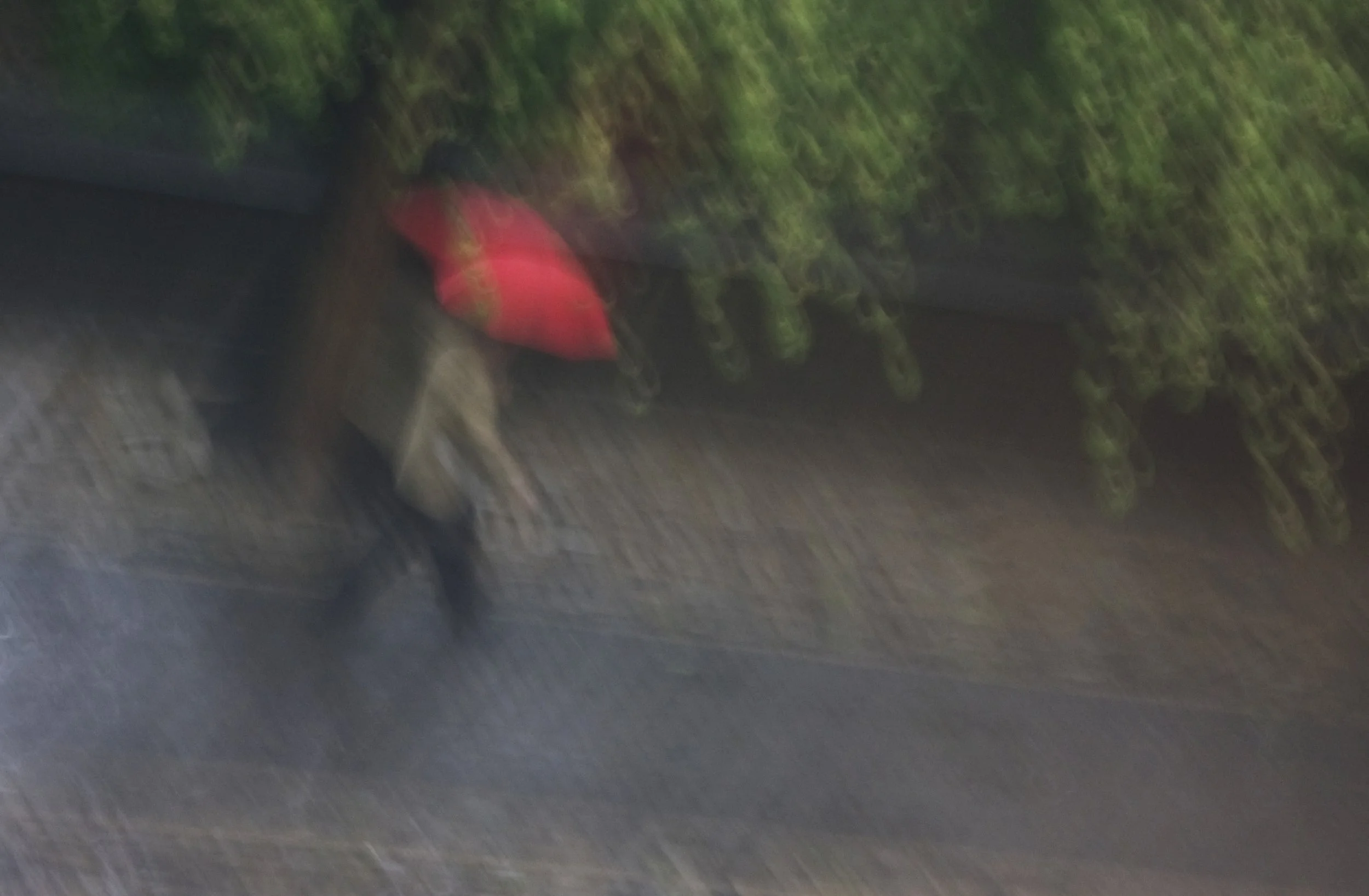 Red Umbrella