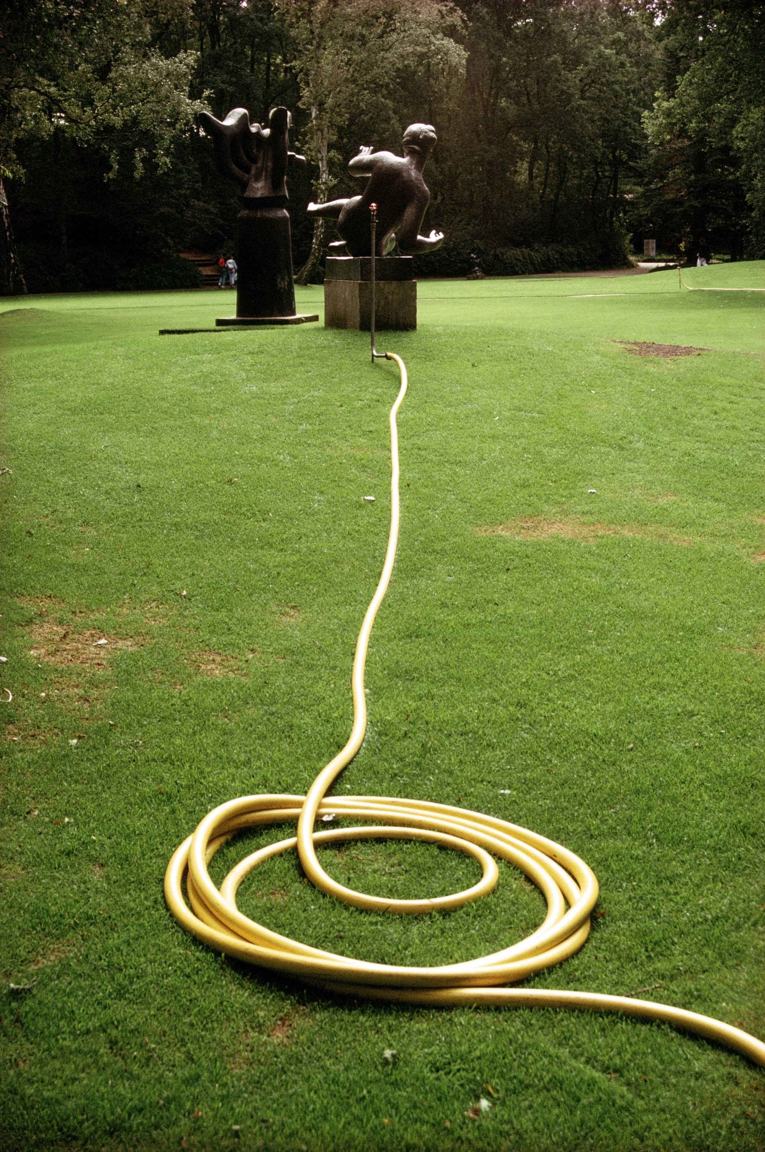 Dutch Hose