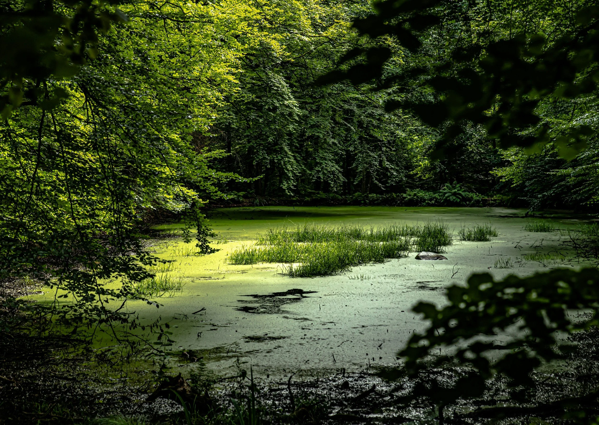 Despoina
