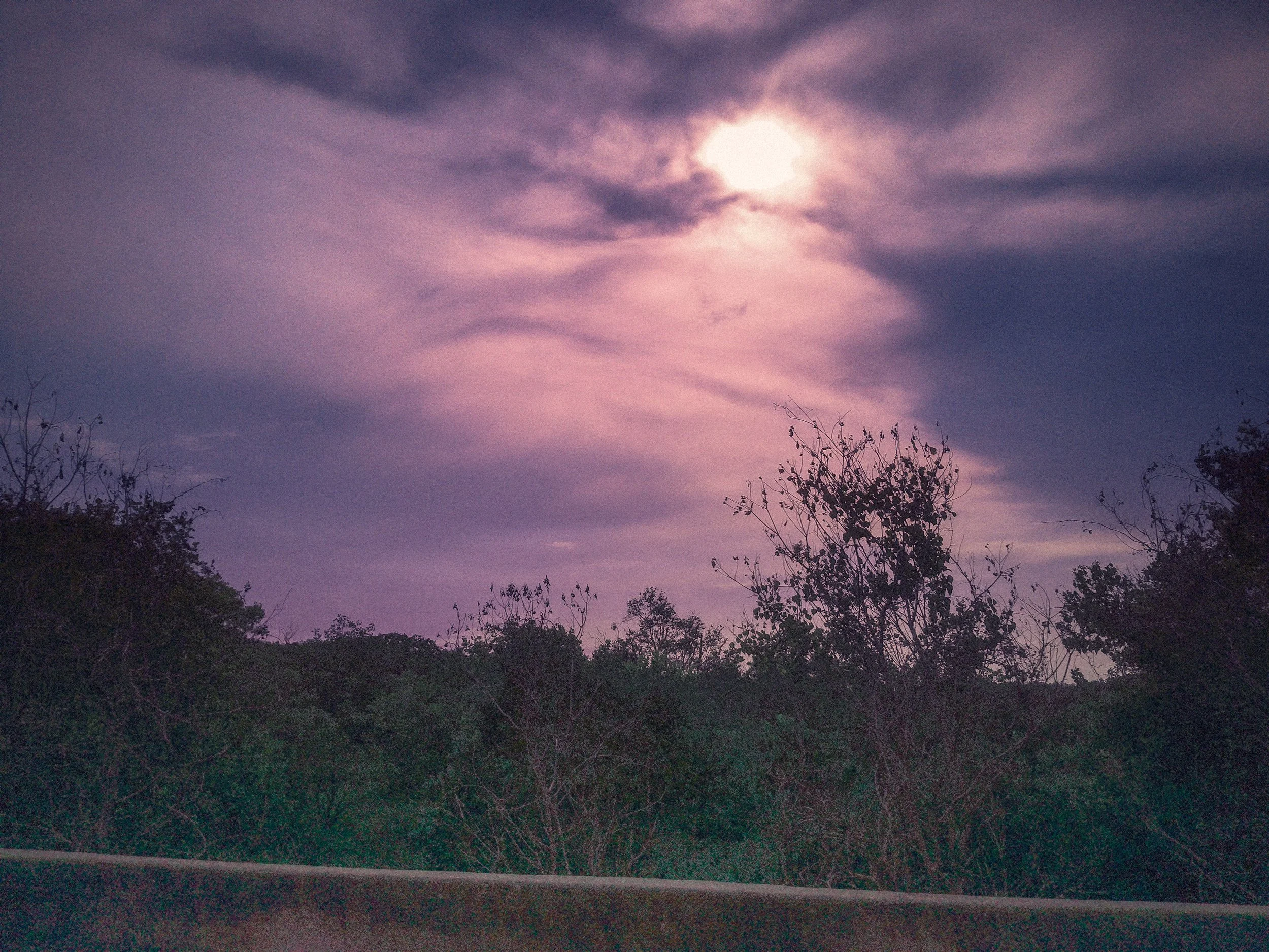 The sky over a forest with clouds and a bright moon, with silhouettes of trees at the bottom.