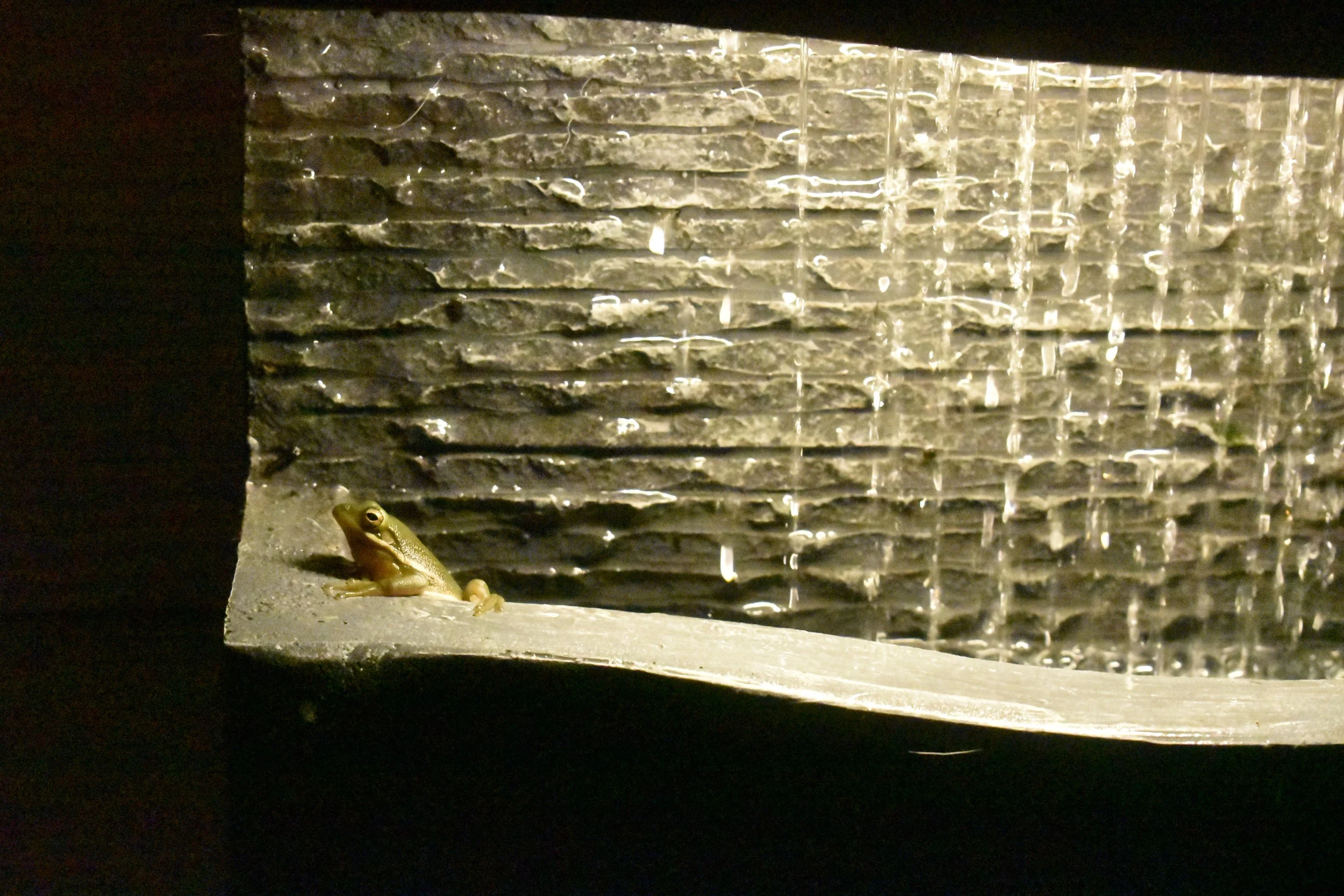DSC_0104.JPG