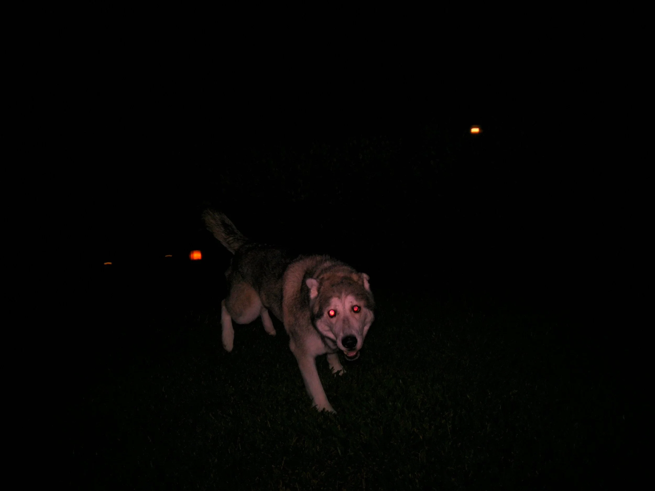DSCF0023.JPG