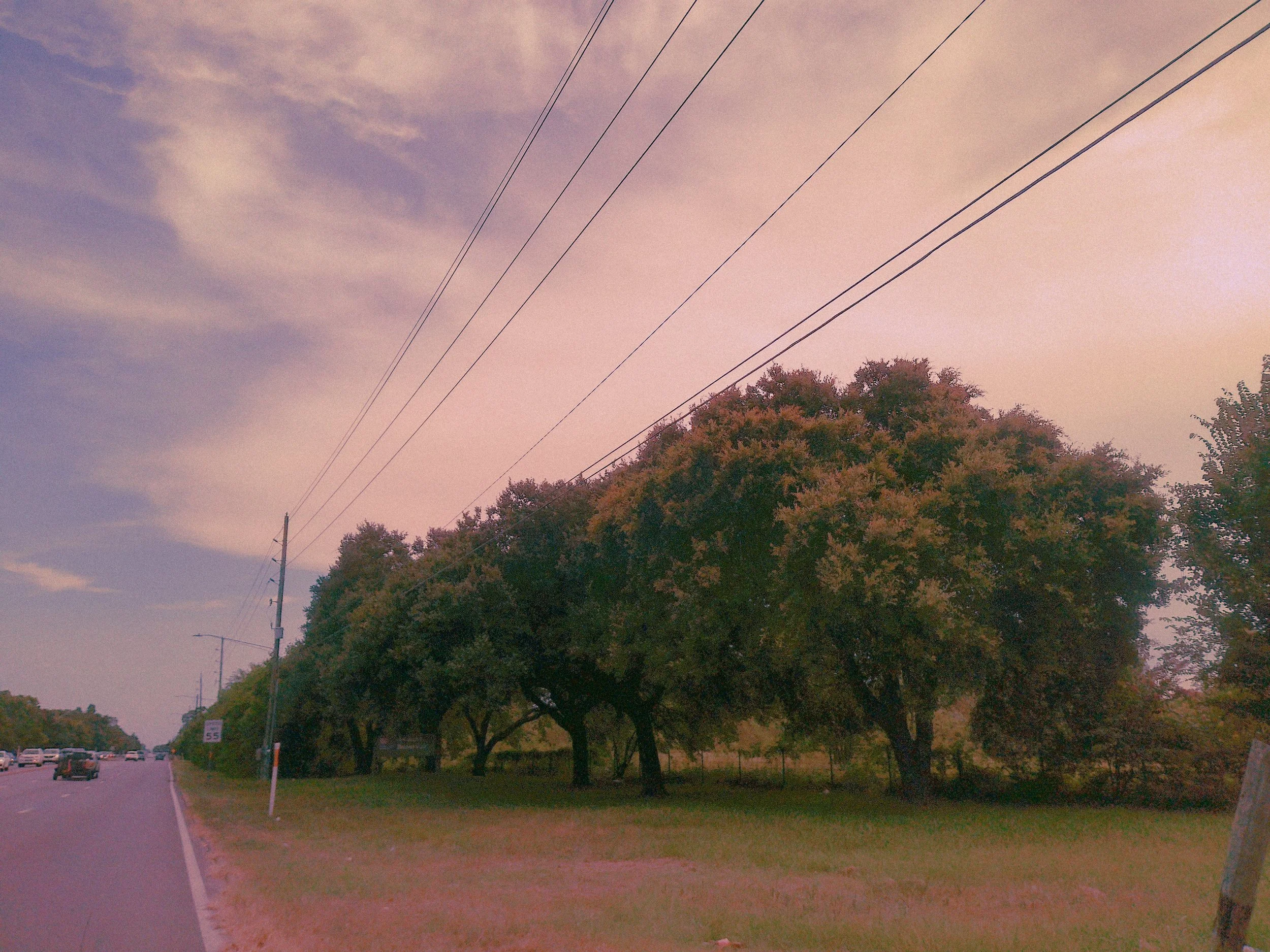 A street scene during sunset with a cloudy sky, power lines crossing the sky, a row of trees with autumn-colored leaves, and cars on the road.