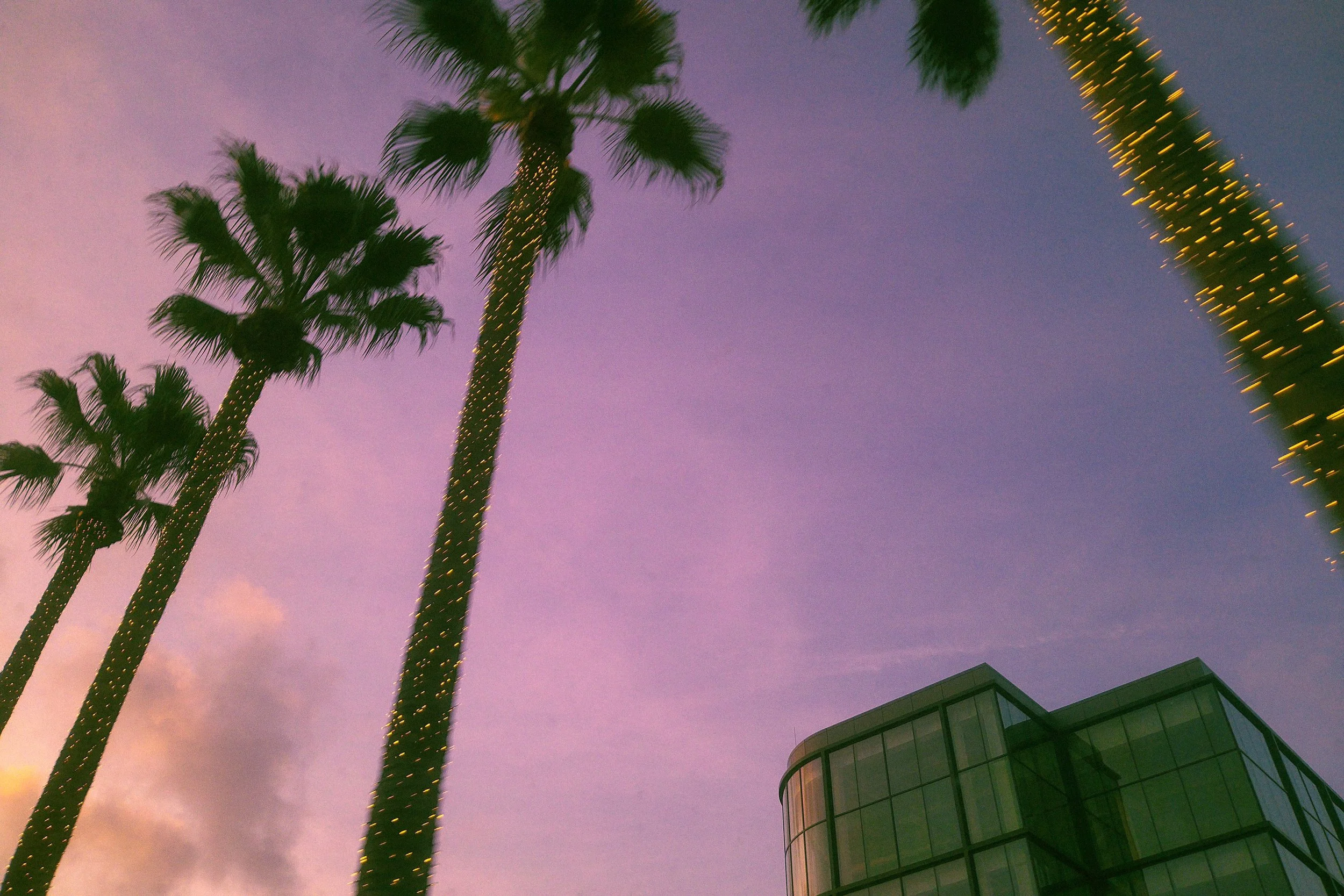 Several tall palm trees wrapped with string lights stand against a colorful evening sky with pink and purple hues. A modern glass building with curved architecture is partially visible in the lower right corner.