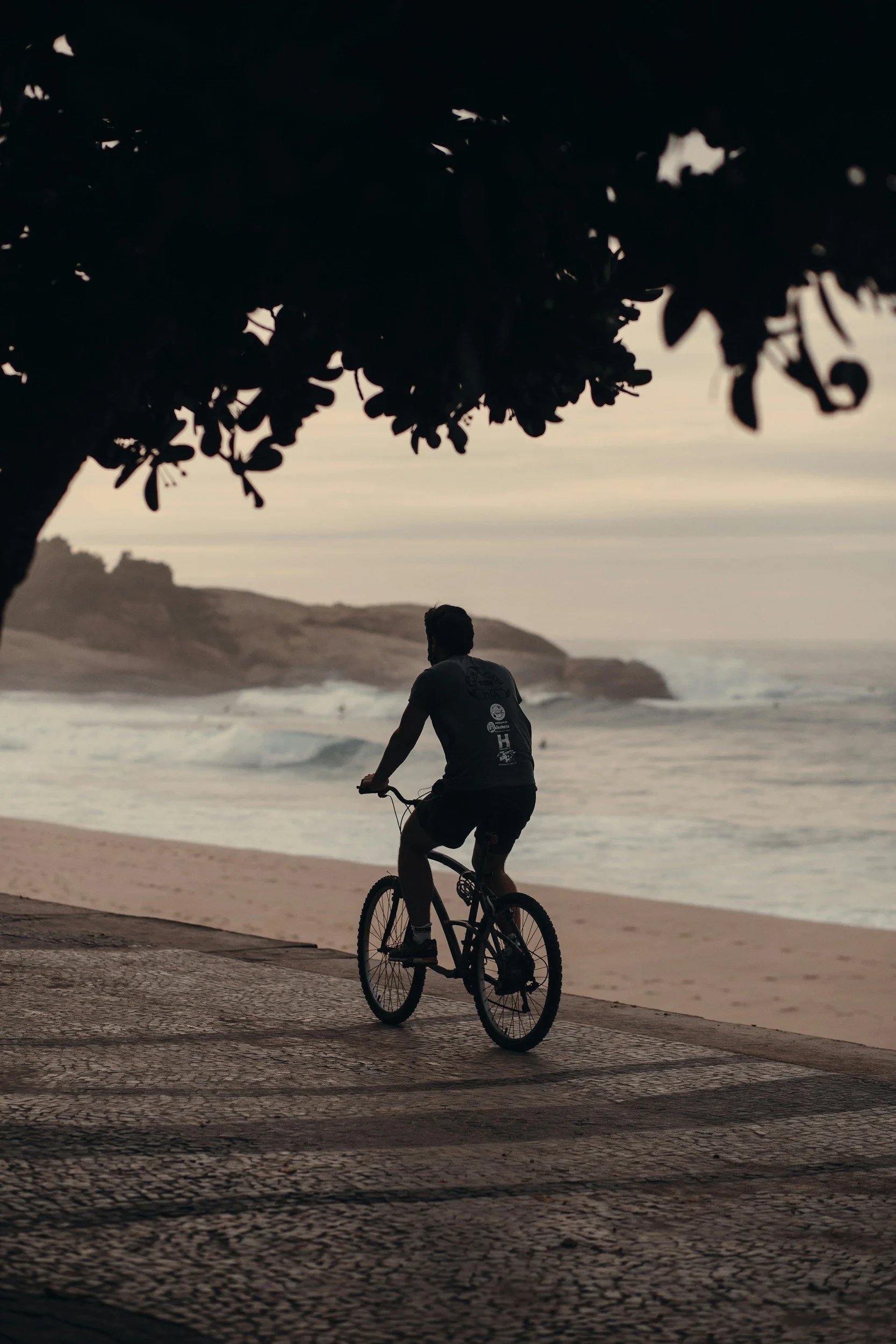 Silhouette of a person riding a bicycle along a beach during sunset, with trees in the foreground and ocean waves in the background.