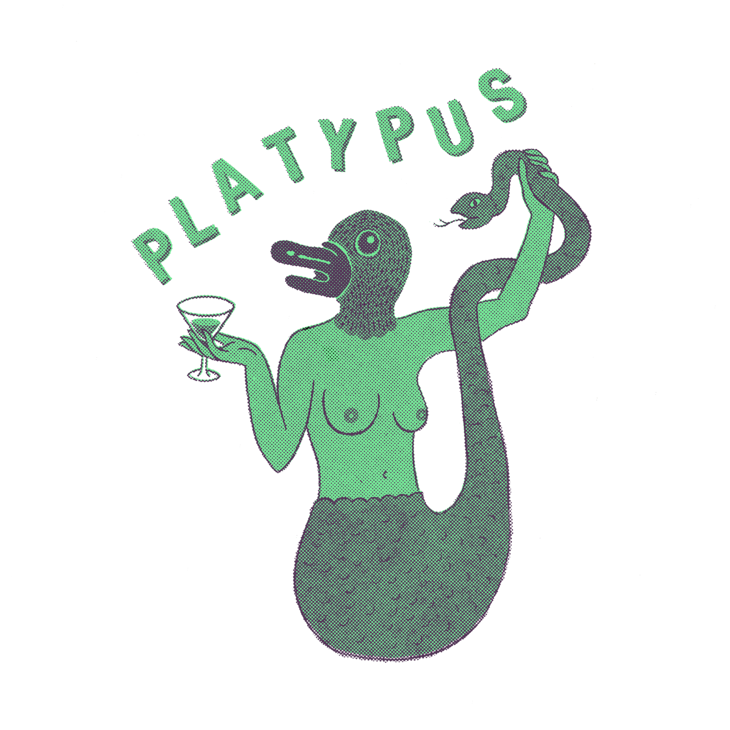 Tiny House &amp; Platypus