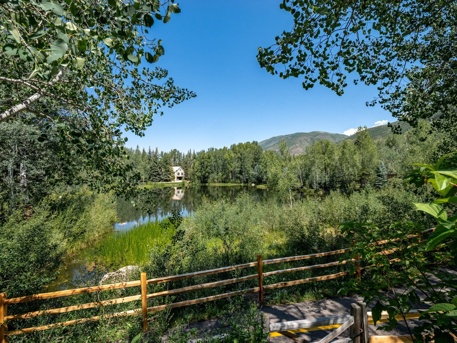 MLS - 1440 Crystal Lake Road - Aspen, CO-36.jpg