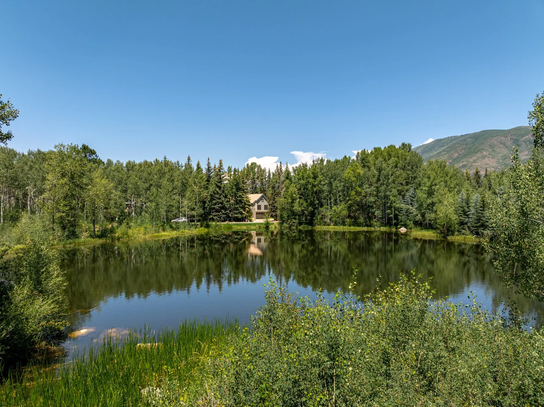 MLS - 1440 Crystal Lake Road - Aspen, CO-45.jpg
