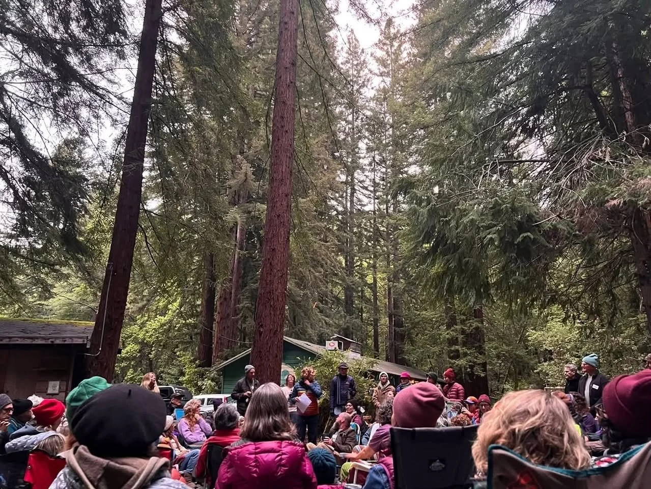 A large group of people gathered in a circle outdoors in a forest with tall trees, singing toward a song leader in the center of the circle.