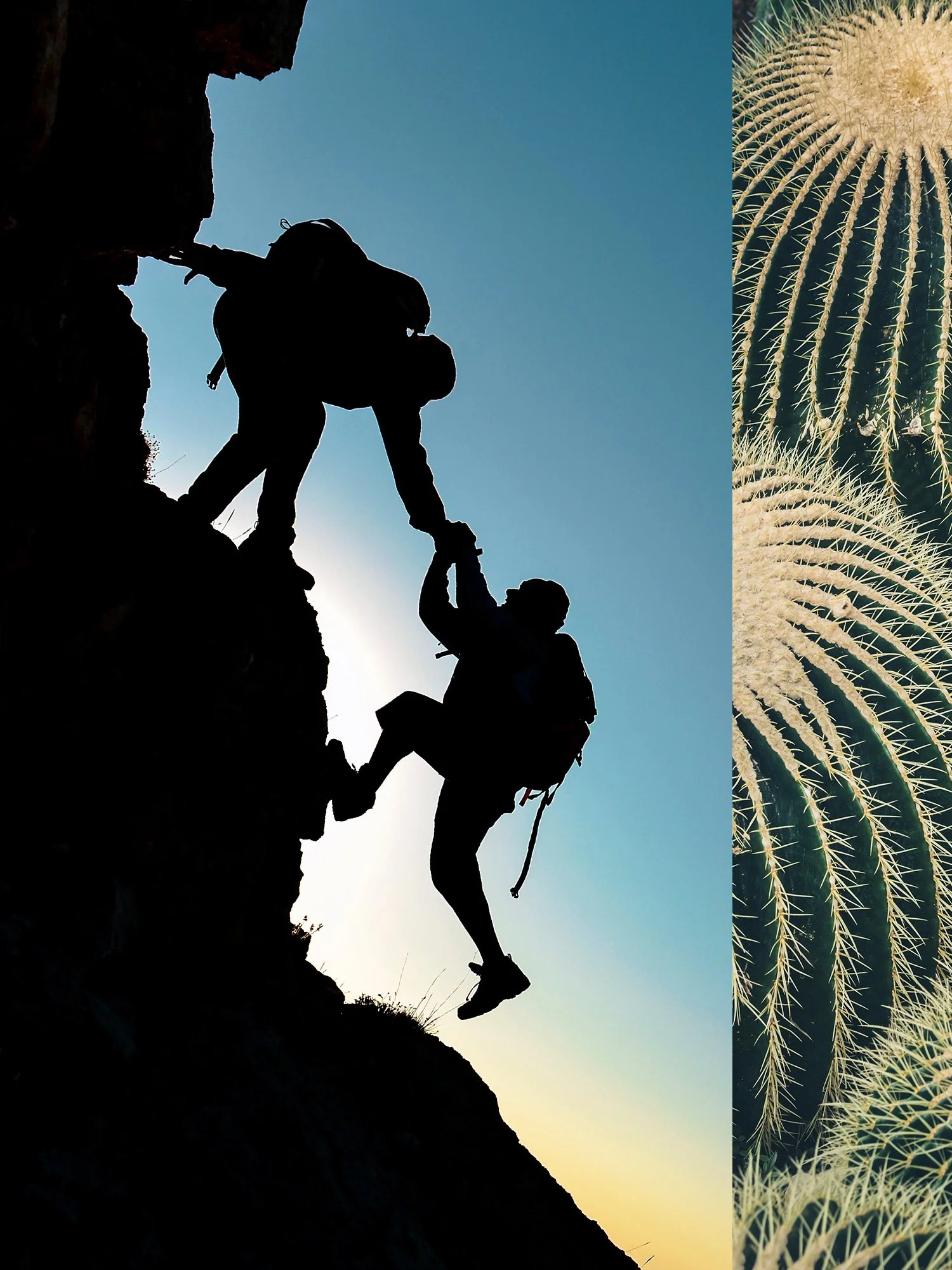 two silhouetted climbers scaling mountain together with cropped cactus texture on right