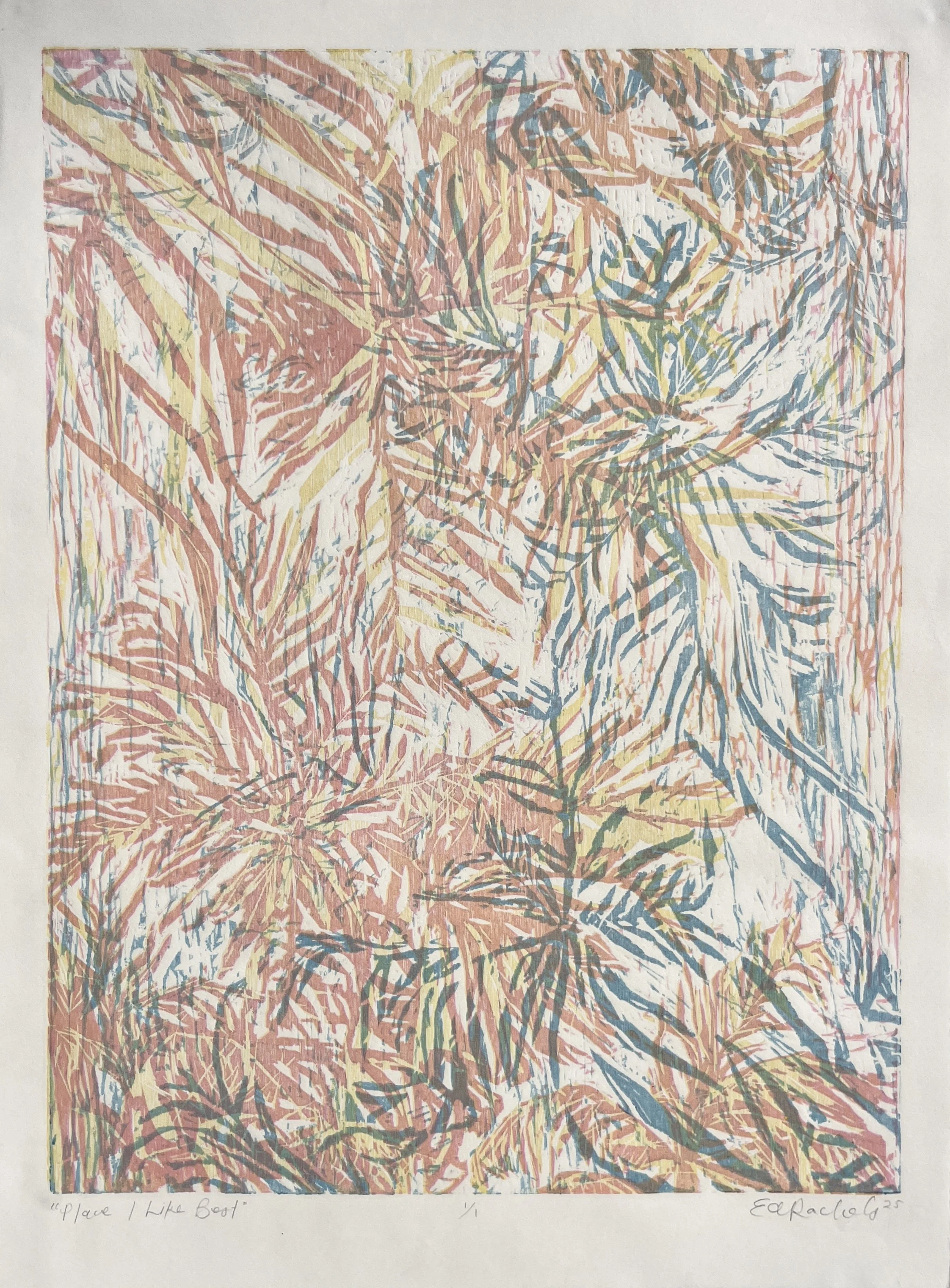 Place I Like Best - Tricolor Woodcut Print