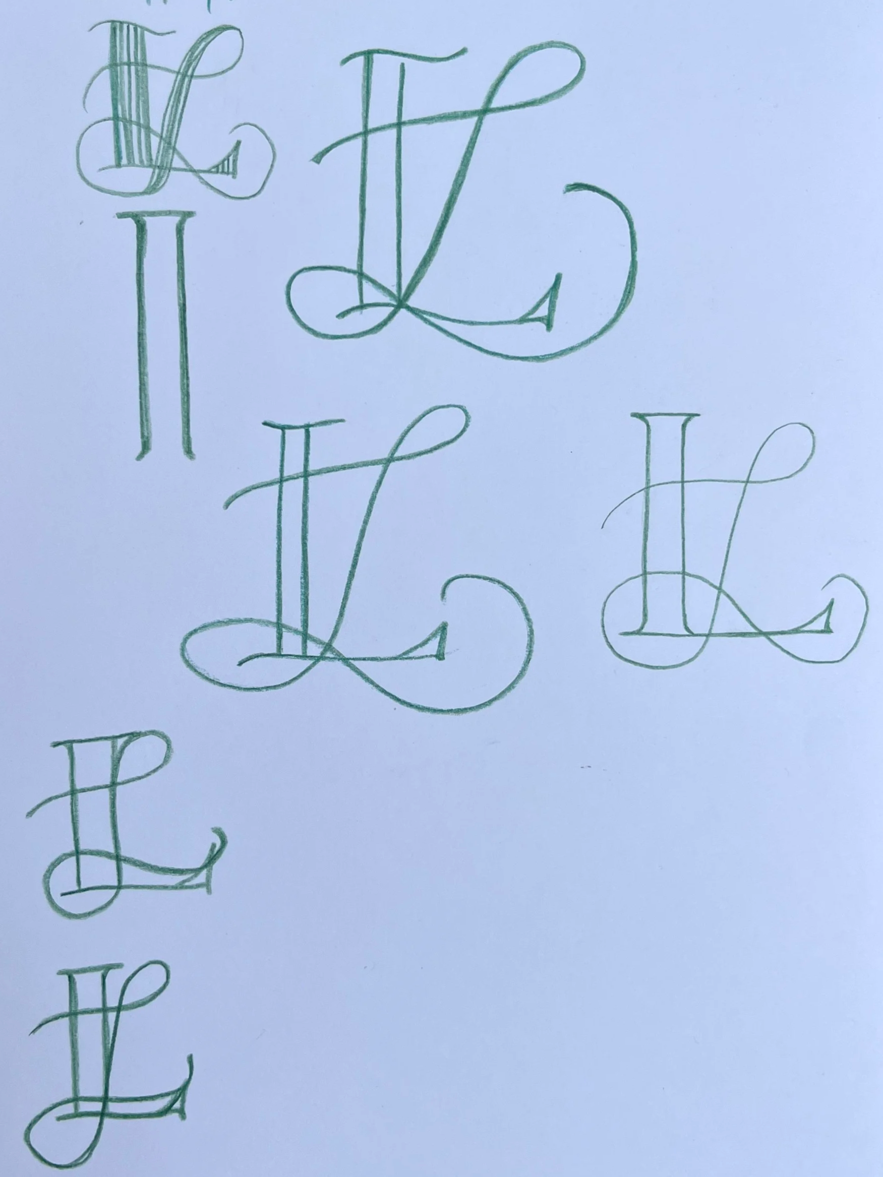 IMG_9518.png