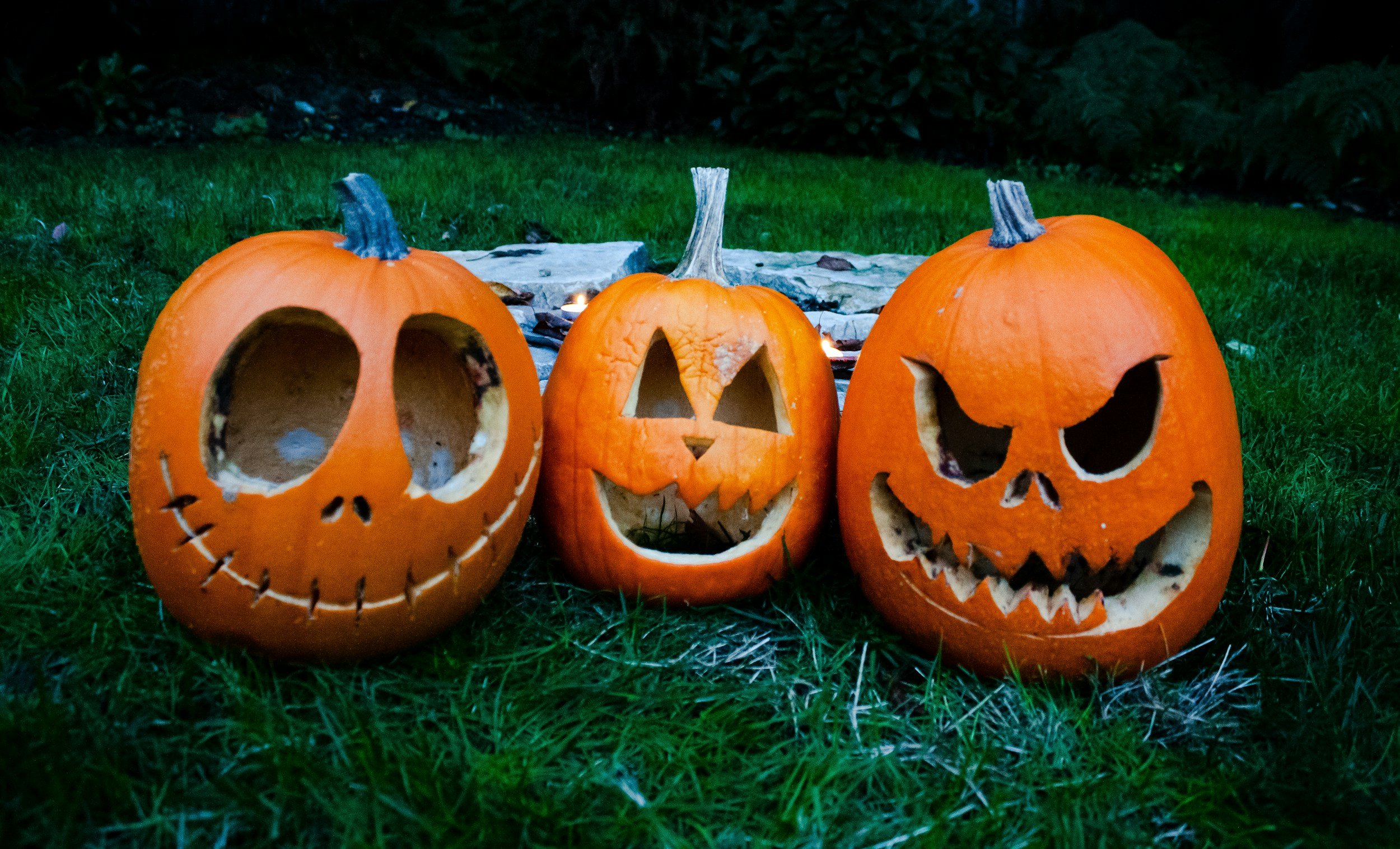 Three carved jack-o'-lantern pumpkins displayed outdoors on grass for Halloween.