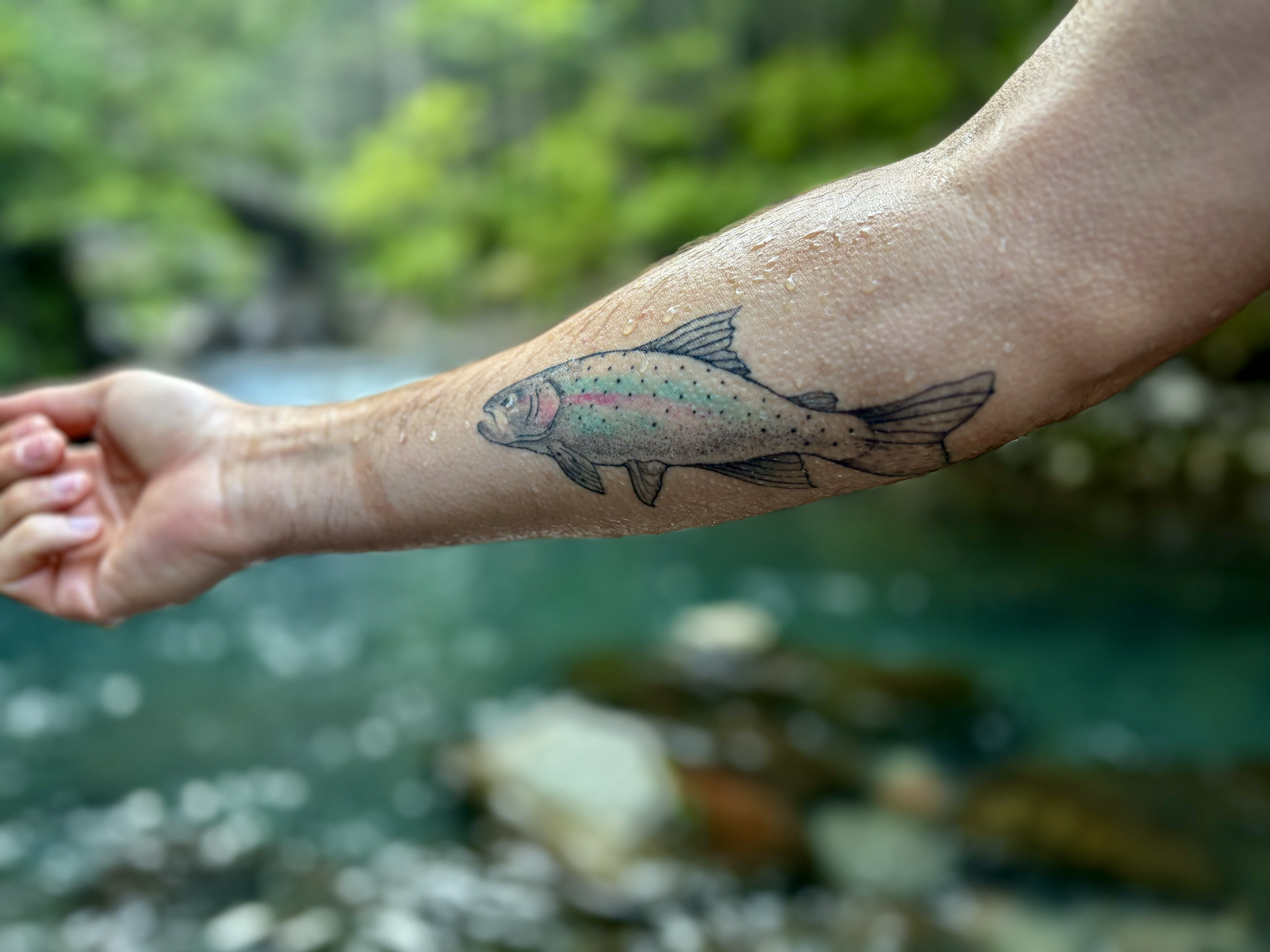 Fish tattoo on the forearm, photographed by a river