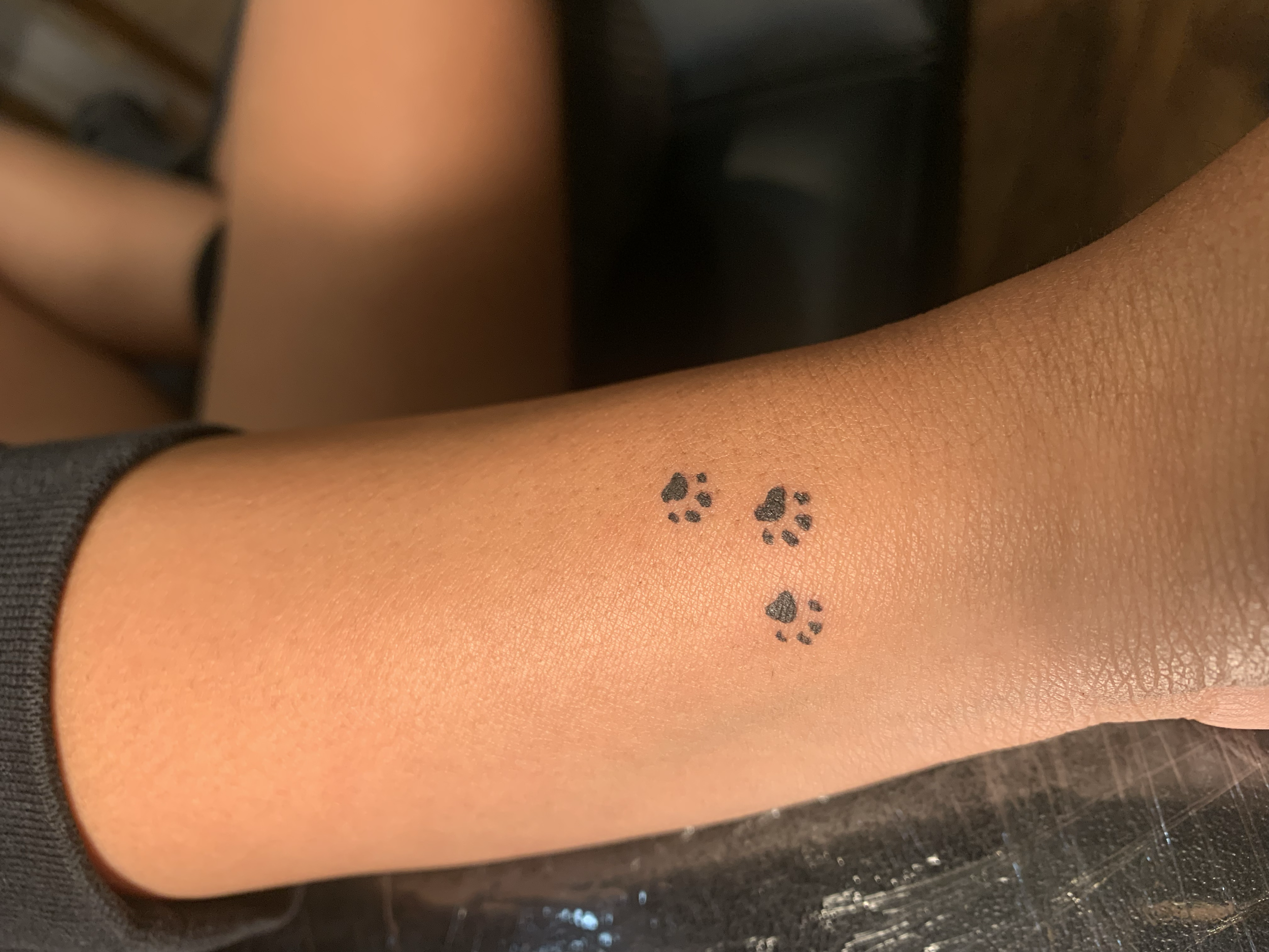 Three tiny paw print tattoos on the arm