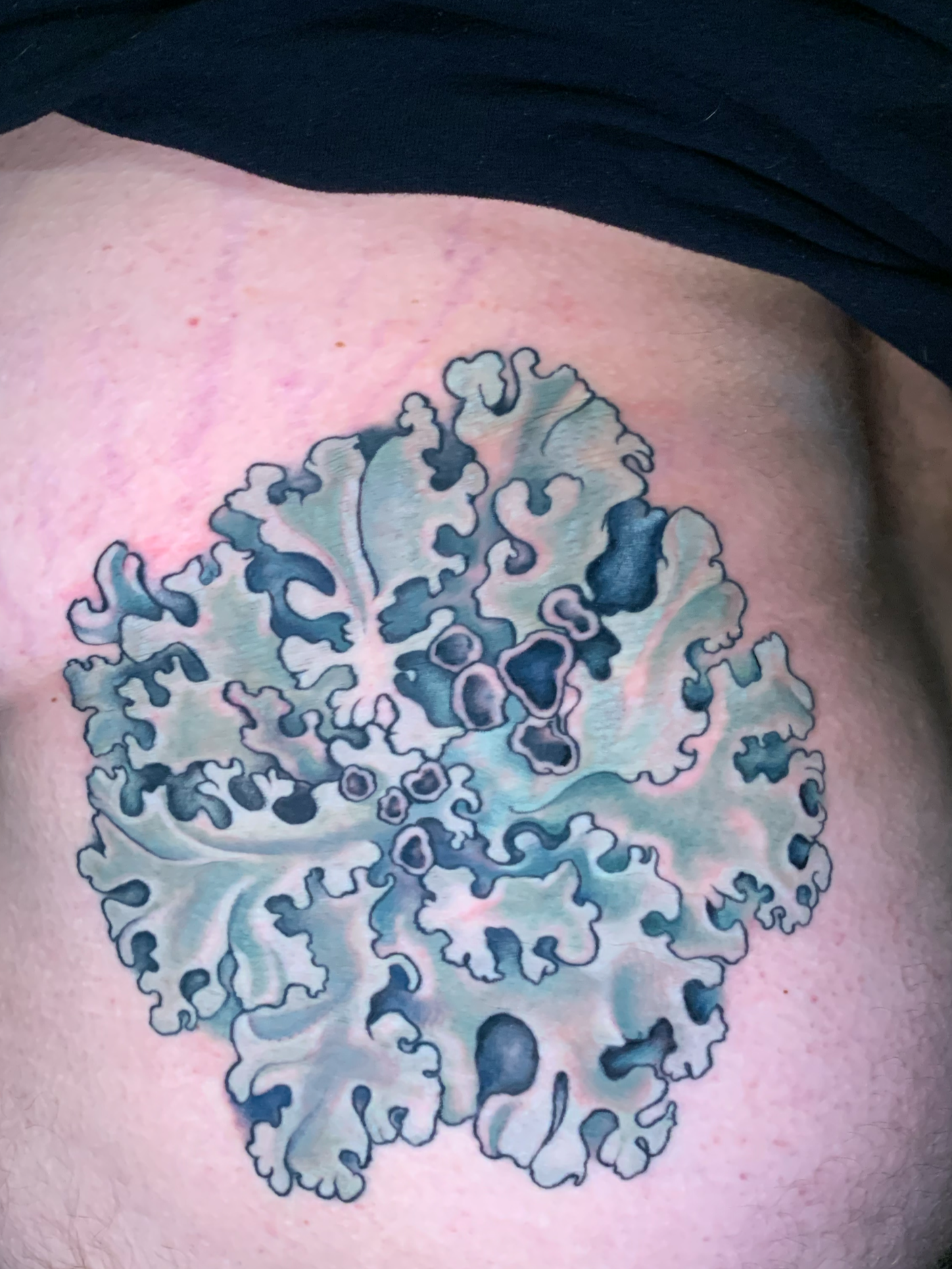 Pale blue-green lichen tattoo