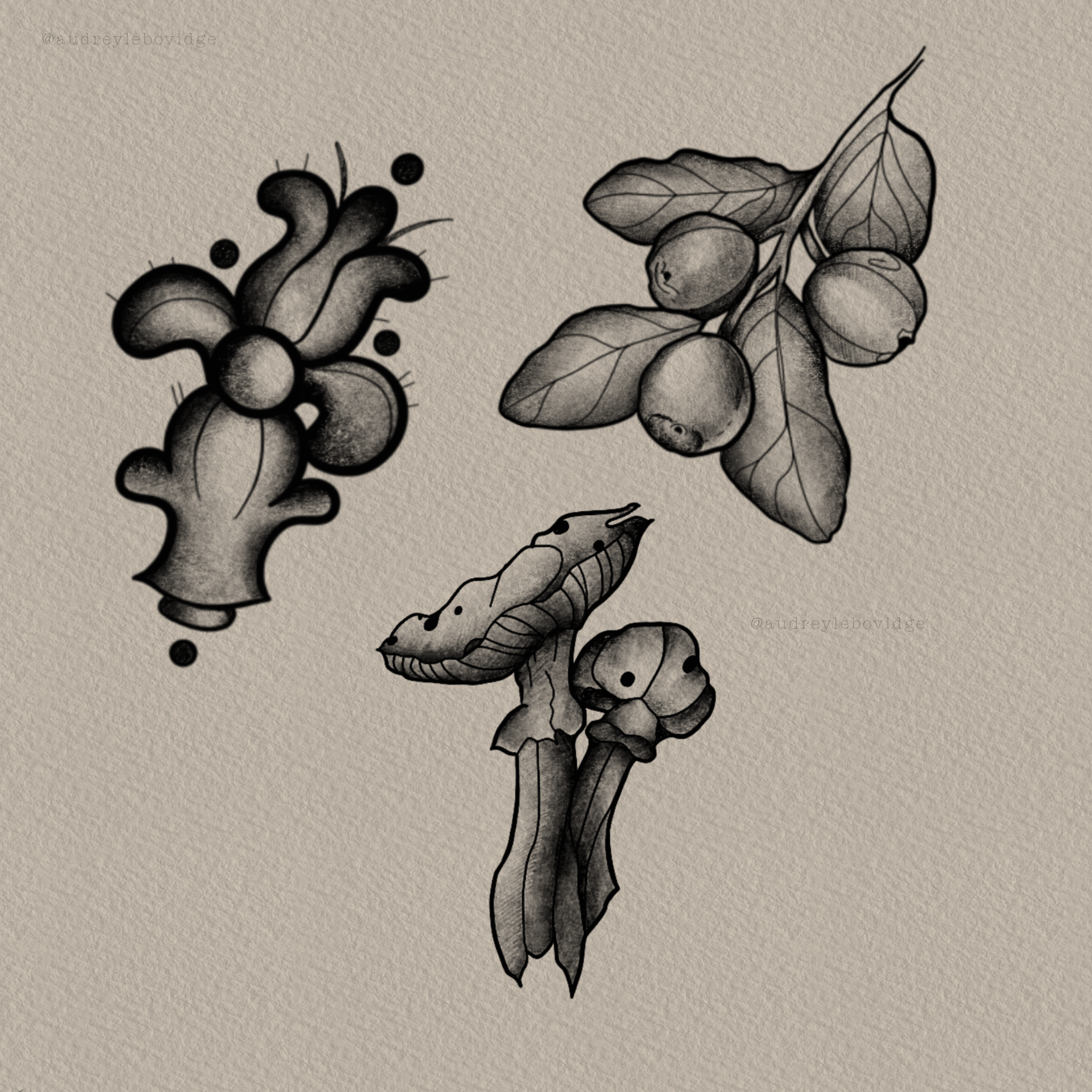 Untitled_Artwork 2.png