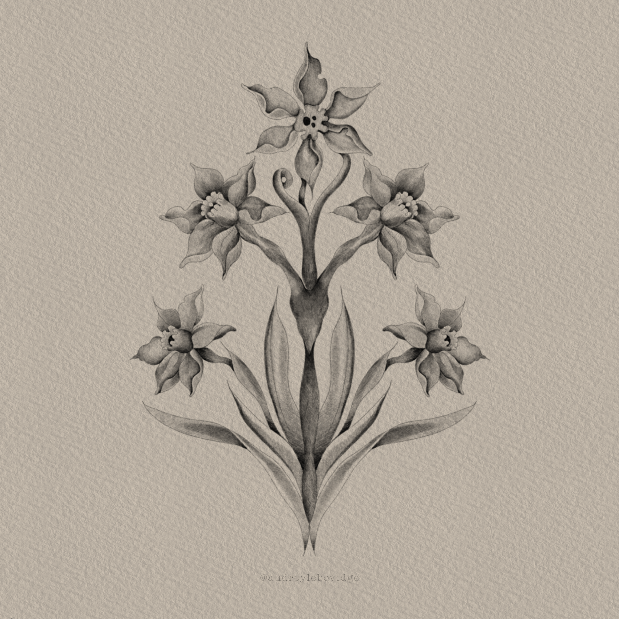 Pencil drawing of symmetrical lilies