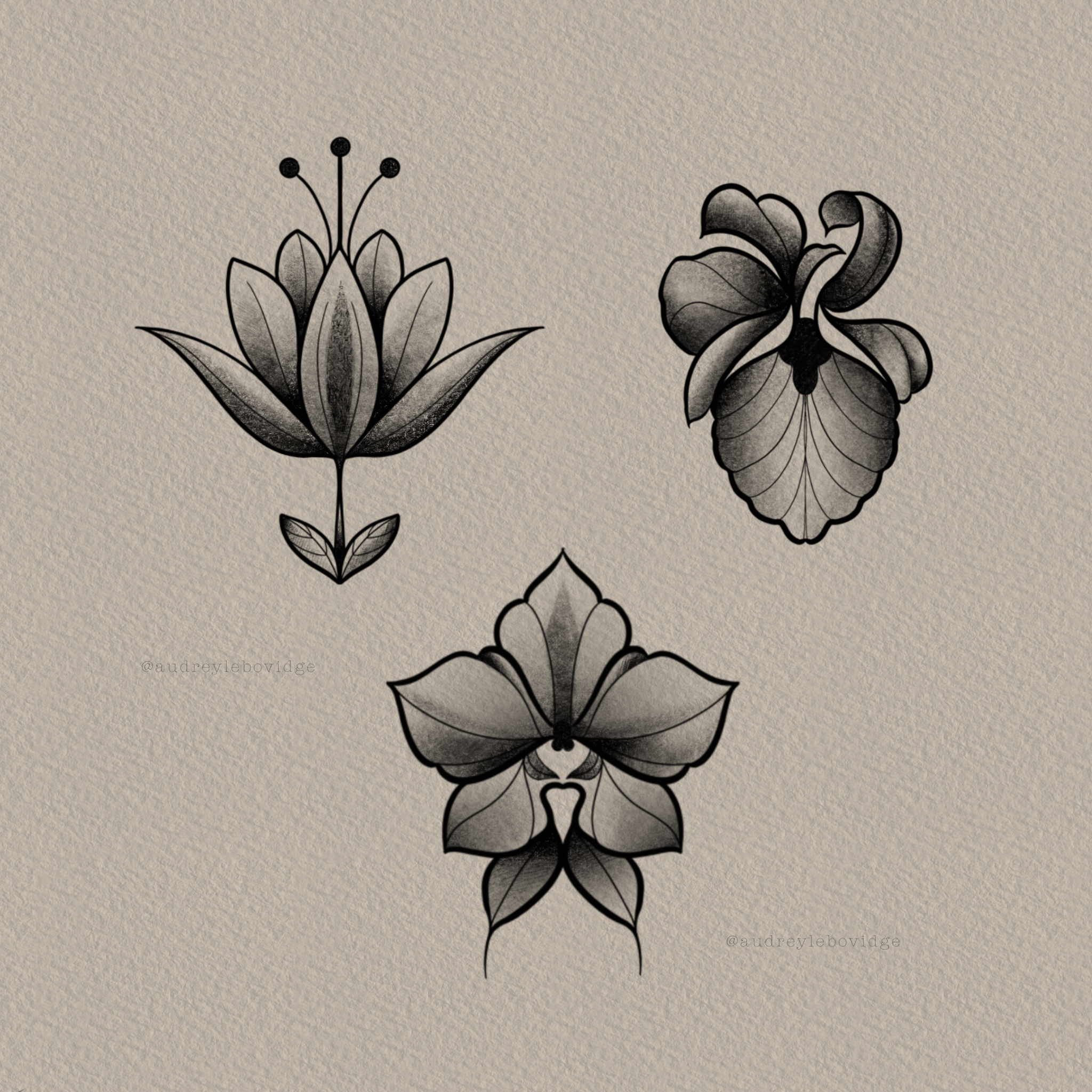 Untitled_Artwork.png