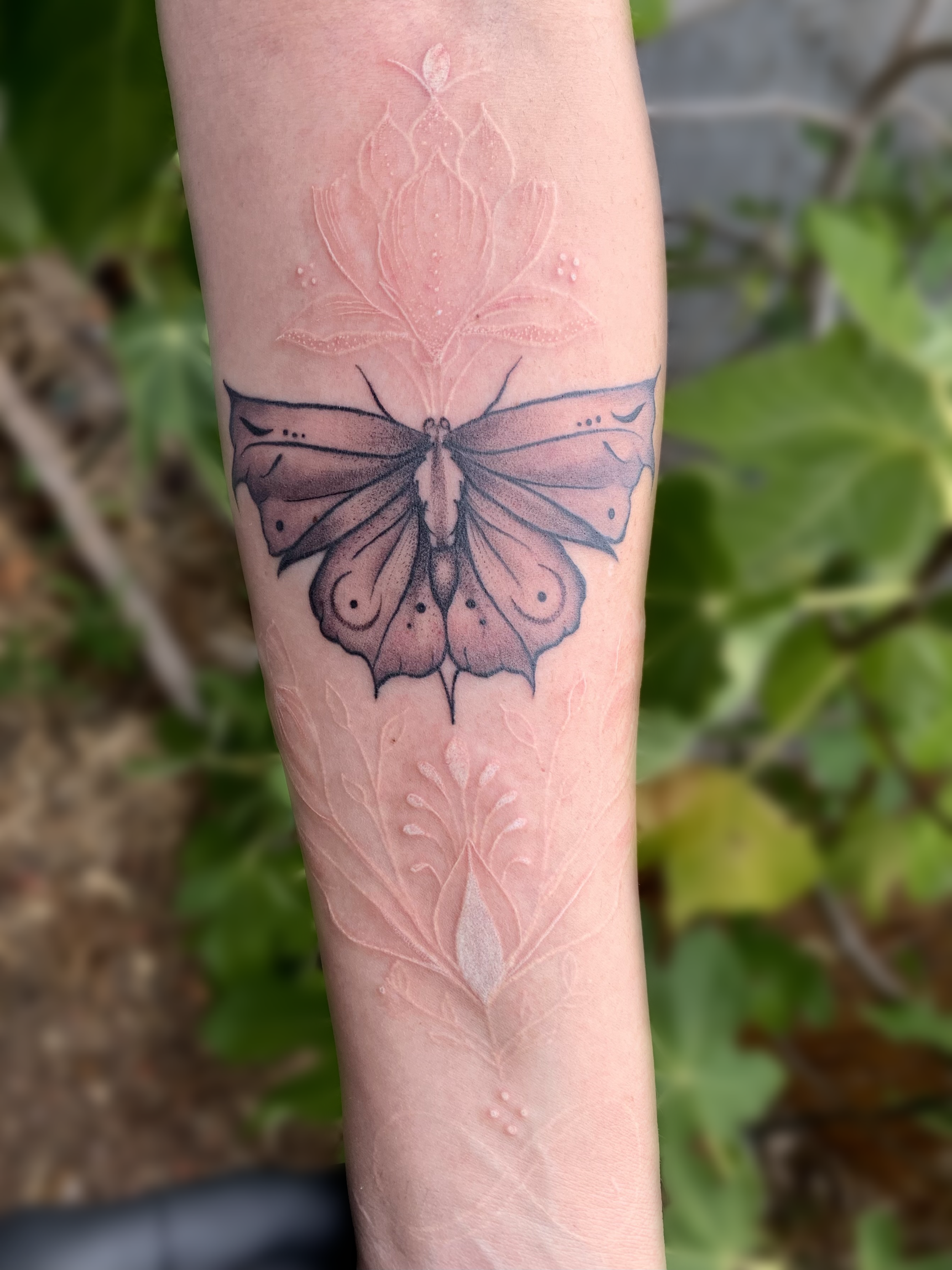 Moth tattoo on the forearm