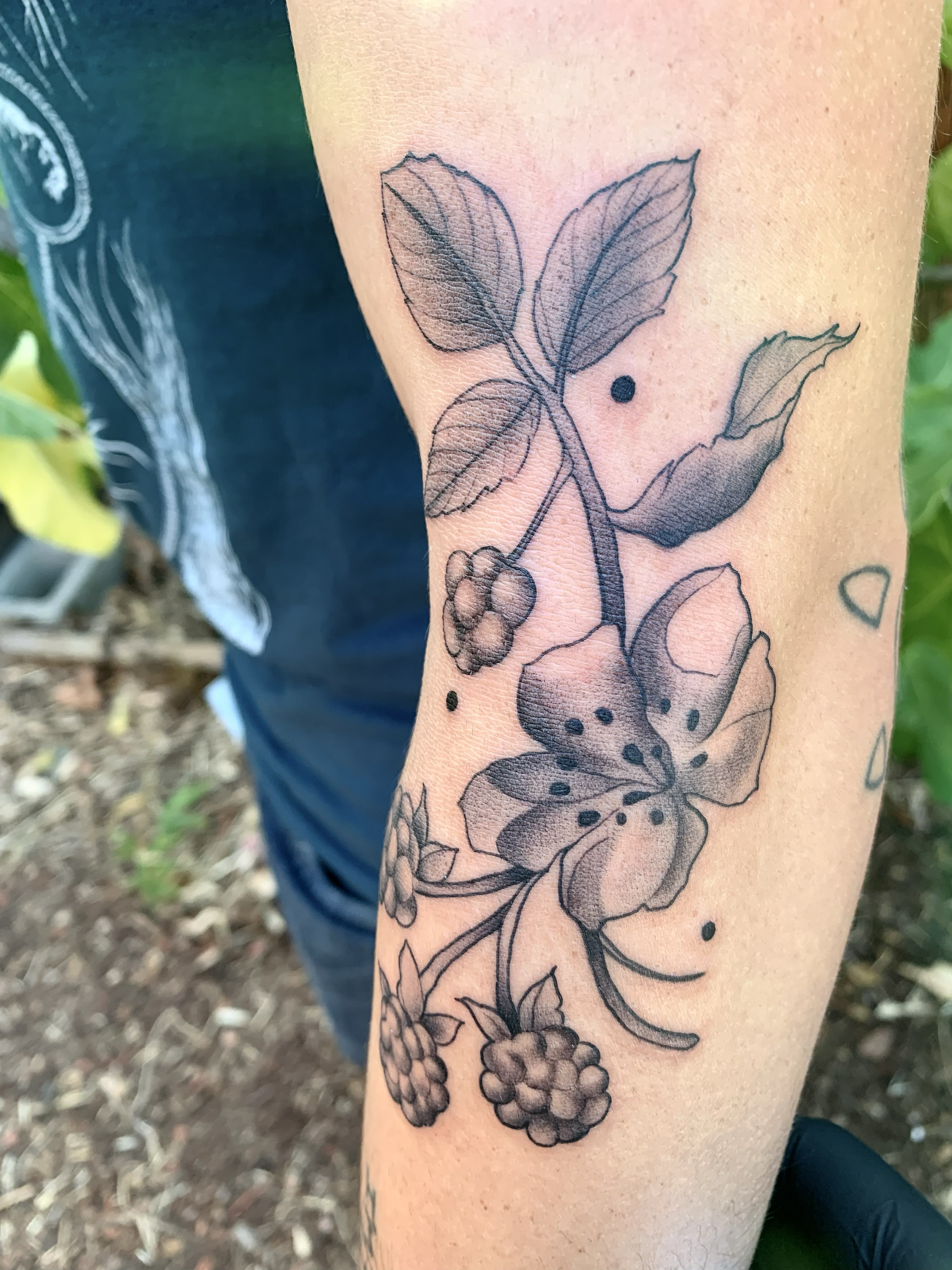 Lily and berry botanical tattoo on the forearm