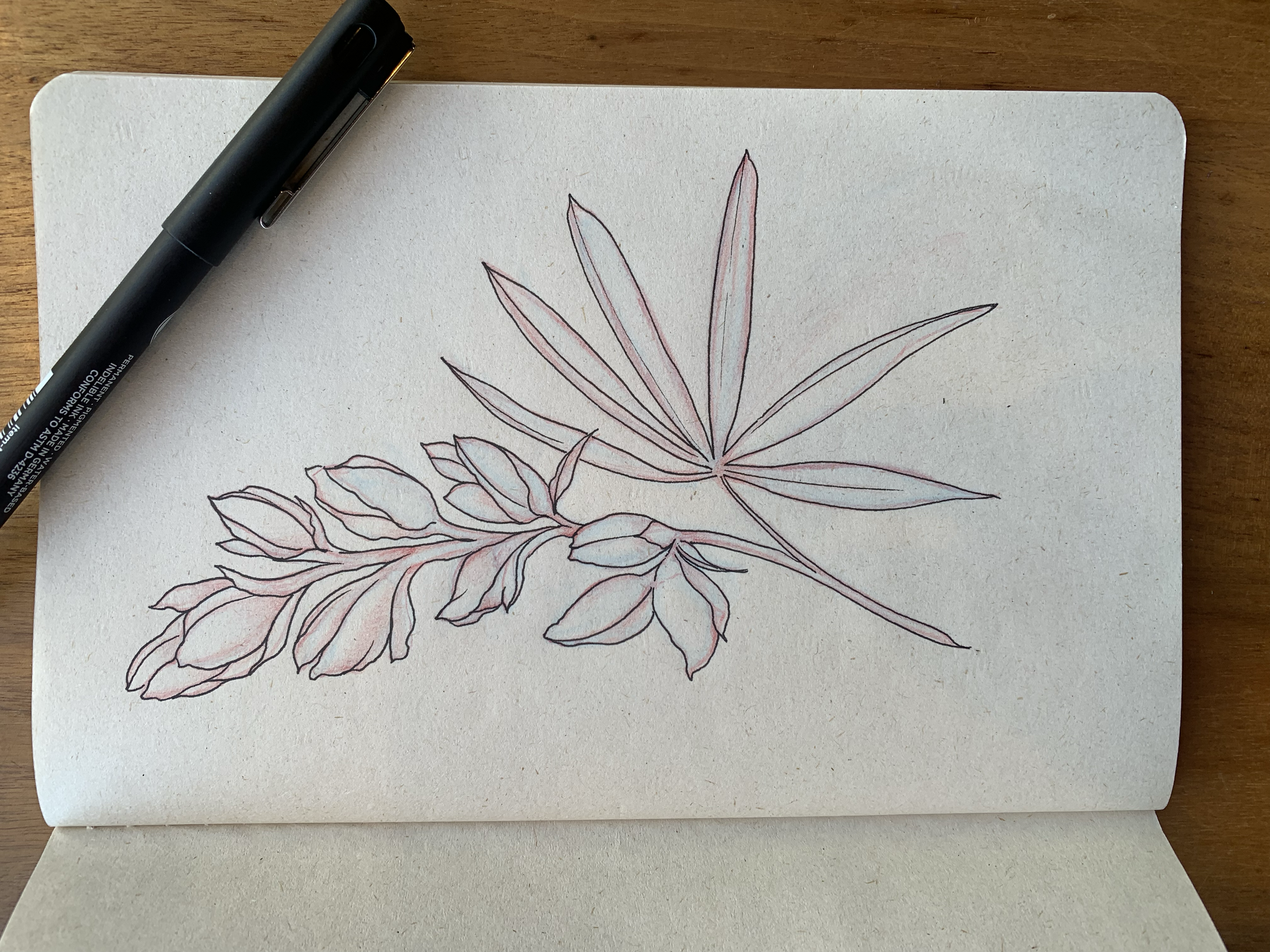 Fine-line sketch of leaves and a branch in a sketchbook