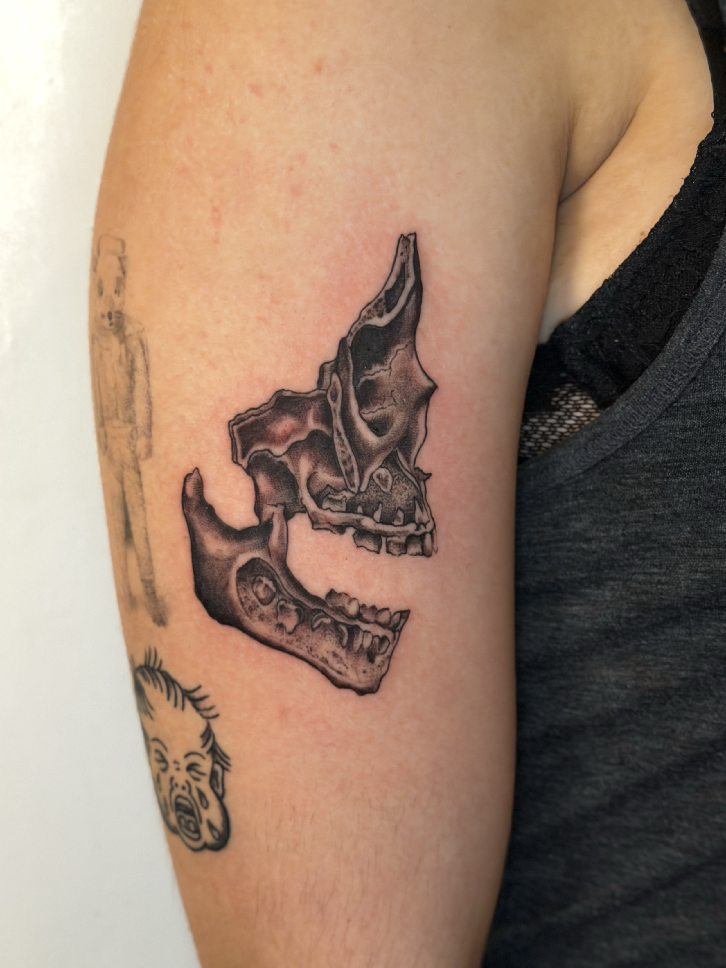 Black and gray animal skull tattoo on the upper arm