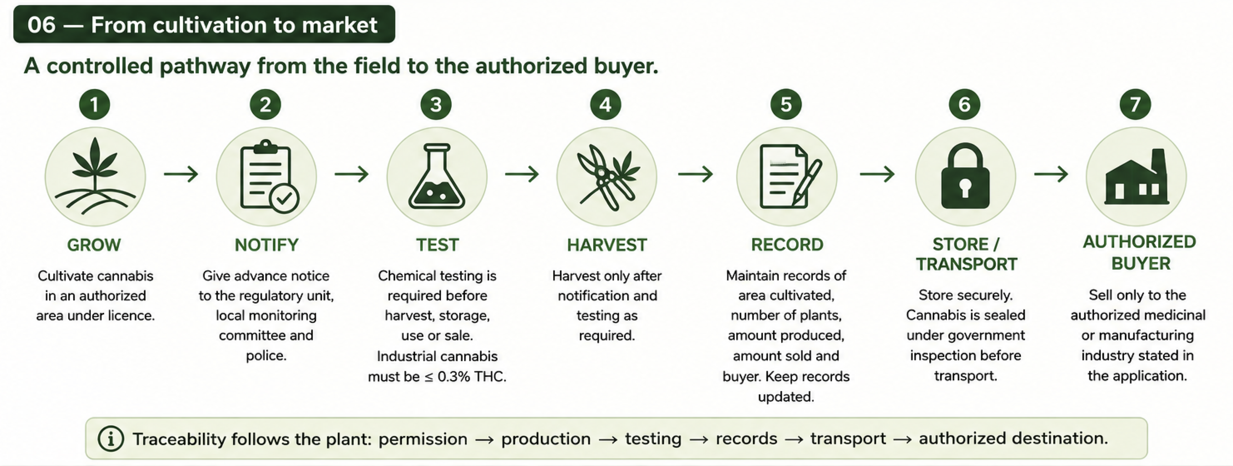 Flowchart illustrating the cannabis cultivation to market process, including steps: grow, notify, test, harvest, record, store/transport, and authorized buyer.