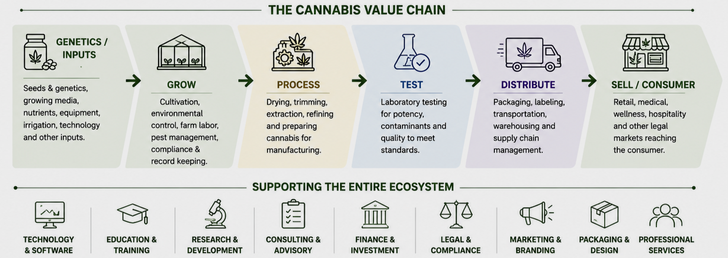 Diagram of the cannabis value chain showing stages: genetics, grow, process, test, distribute, sell/consumer, and supporting ecosystems like technology, education, research, consulting, finance, legal, marketing, packaging, and professional services.
