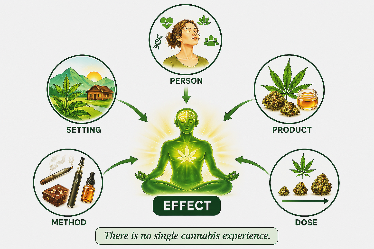Diagram illustrating factors affecting cannabis effects, including setting, method, person, product, and dose, with a central figure meditating and a note that "There is no single cannabis experience."