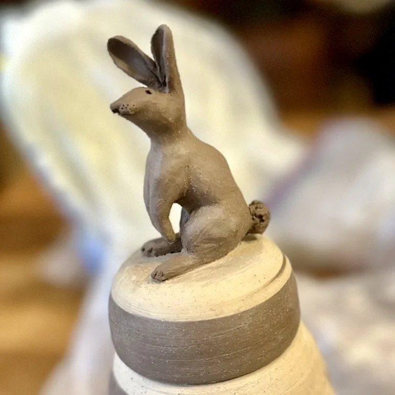 bunny, close-up.jpg