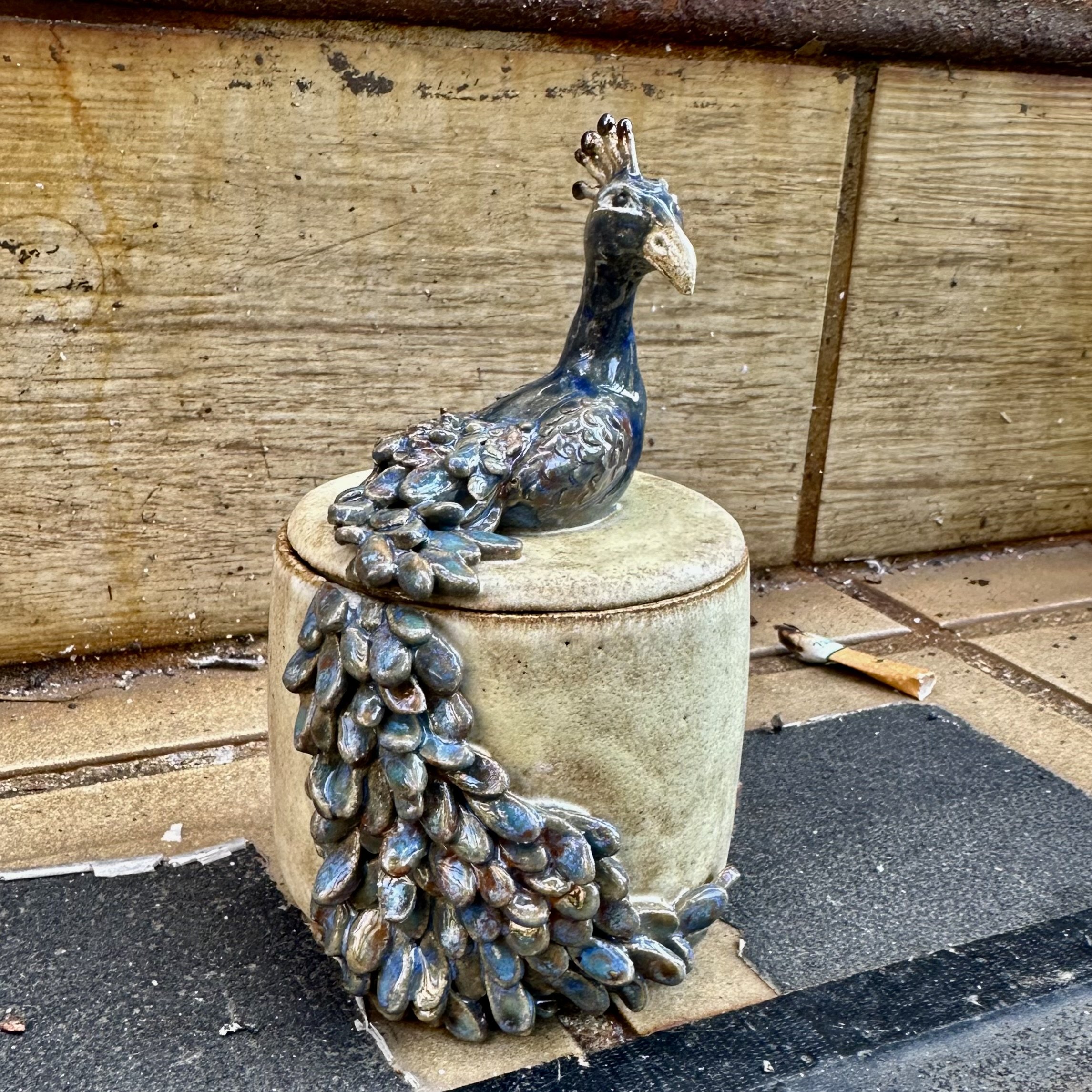 peacock, stoop.jpeg
