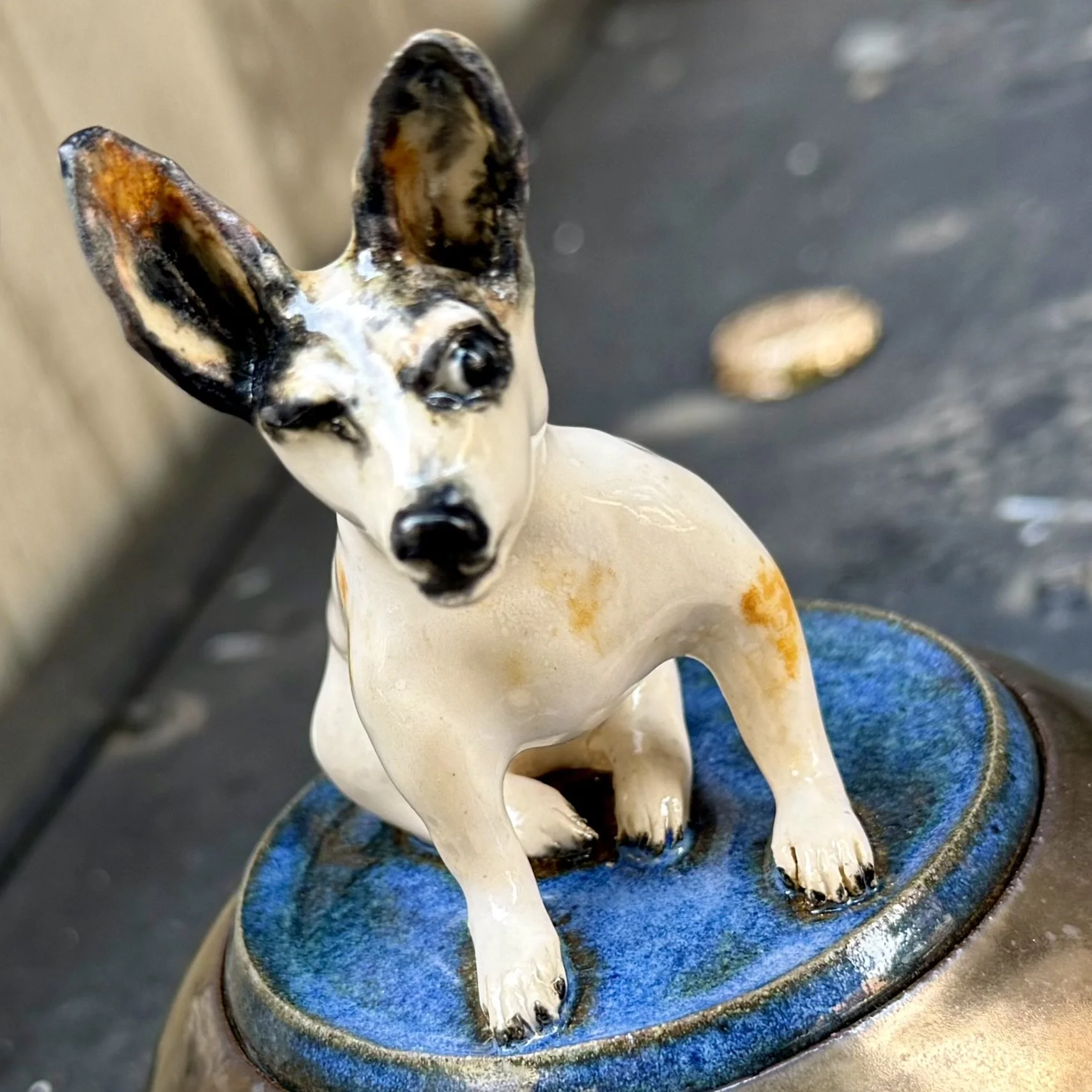 dog for Leigh close-up.jpeg