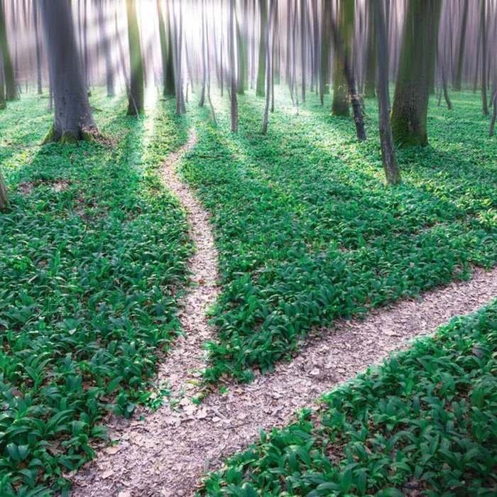 Active personalisation is the new active investing