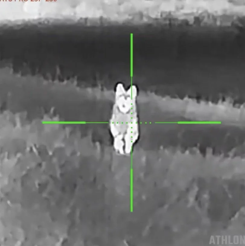 IMG_5453.jpg