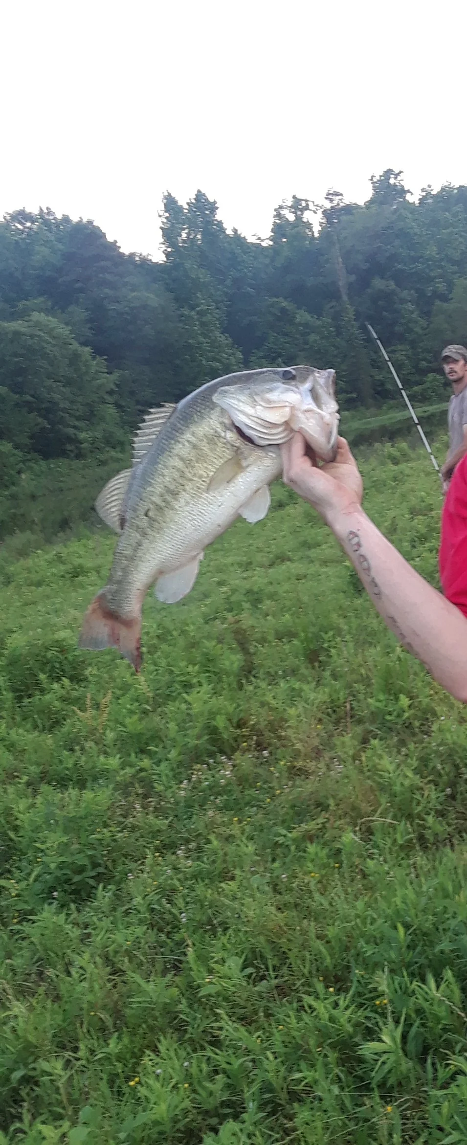 20180603_220517.jpg
