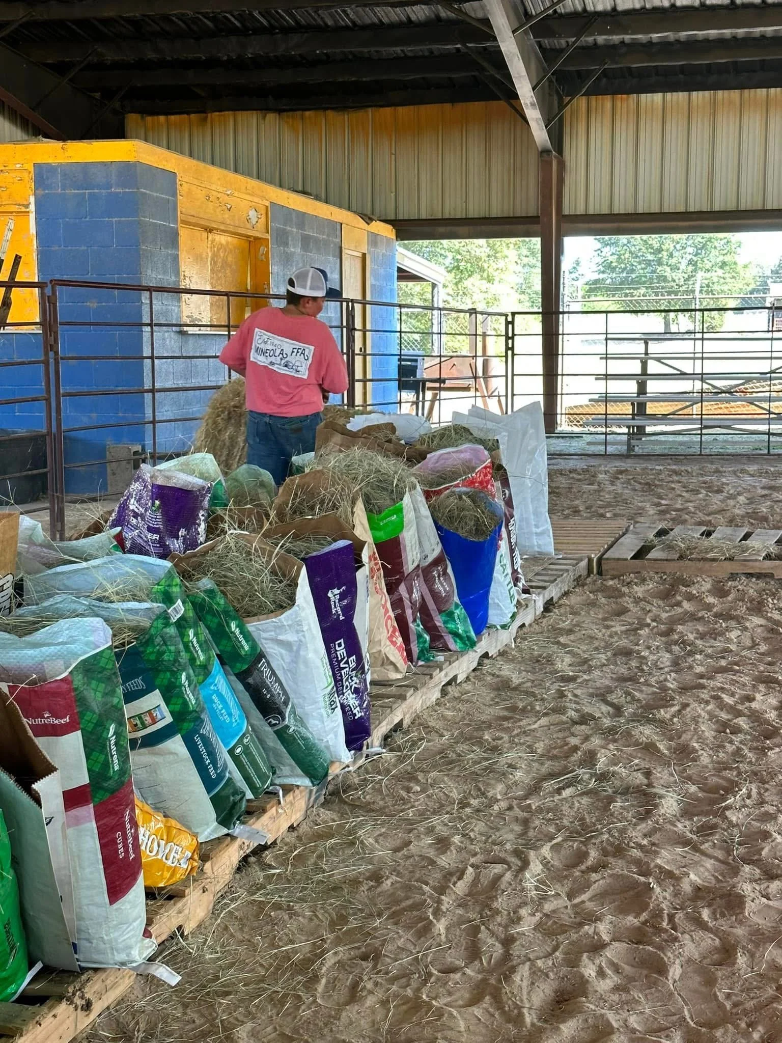 Person working in a barn with bags of feed on wooden pallets, with fencing and metal structure in the background.