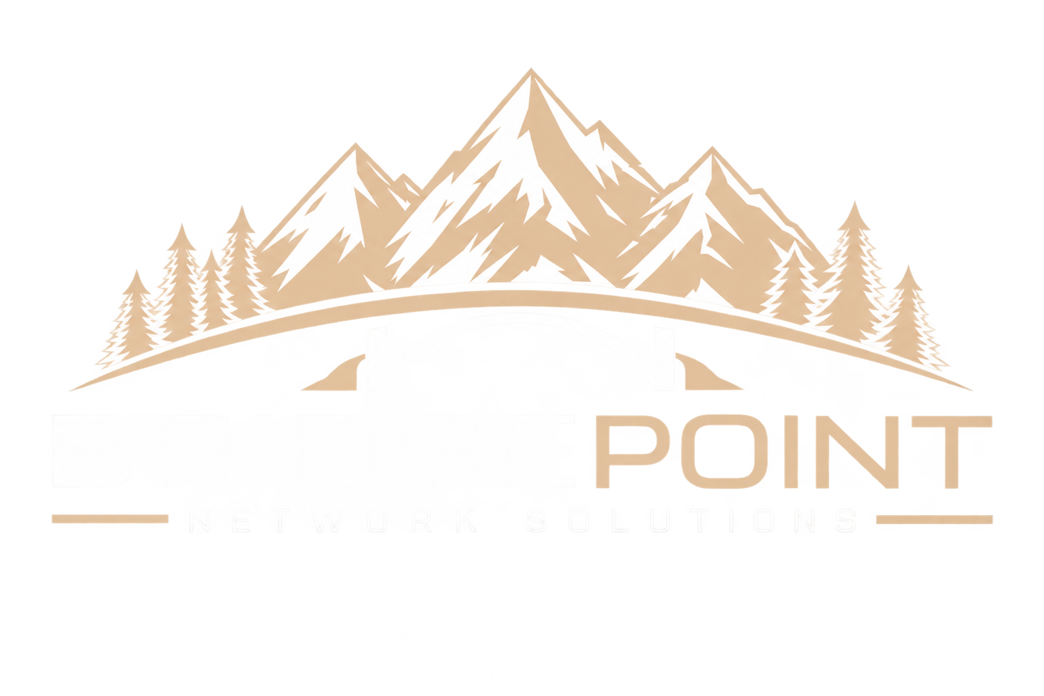 Bridge Point Network Solutions