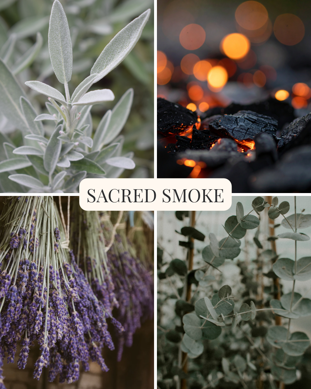 Fragrance Visuals - Sacred Smoke Visuals.png