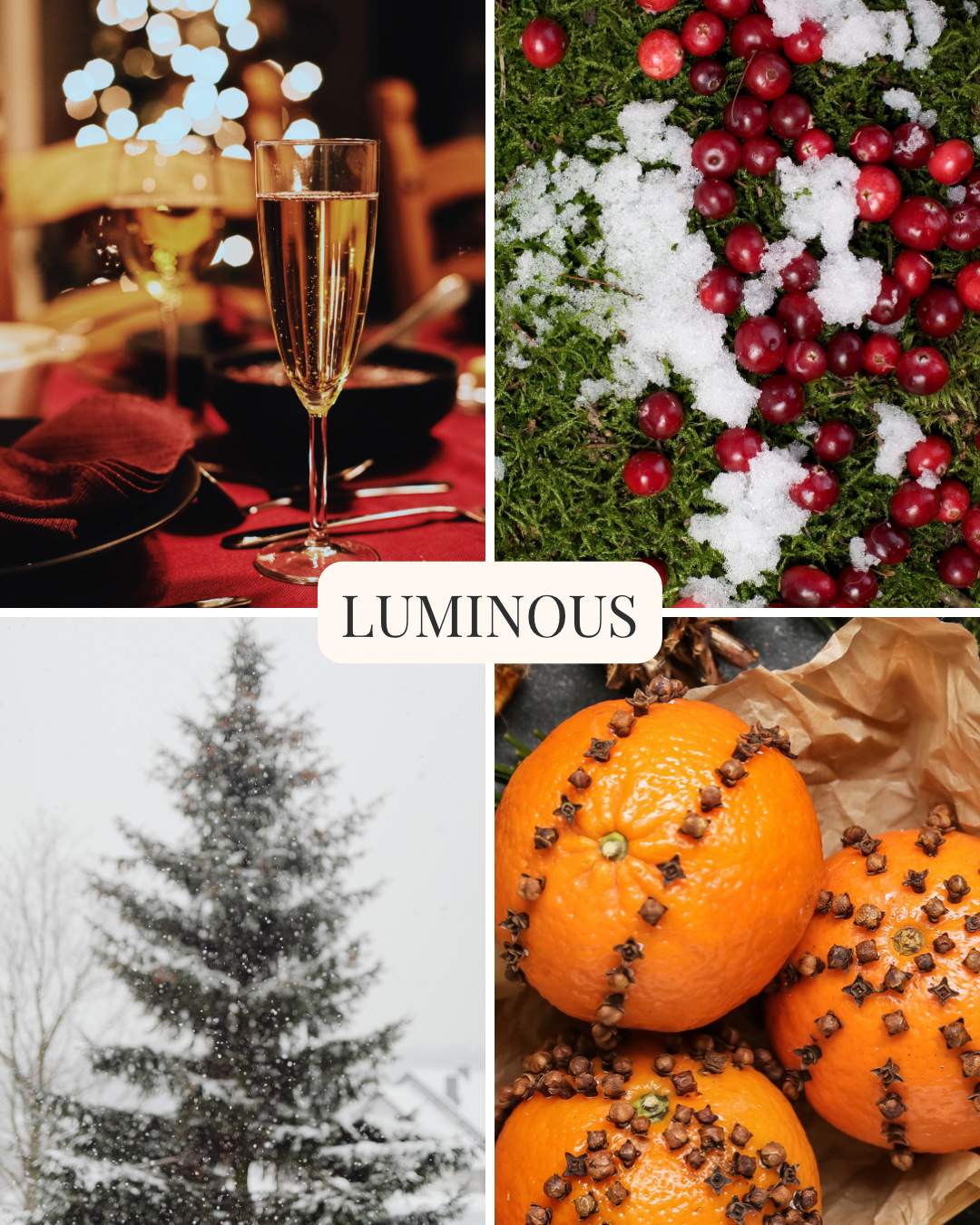Fragrance Visuals - Luminous.png
