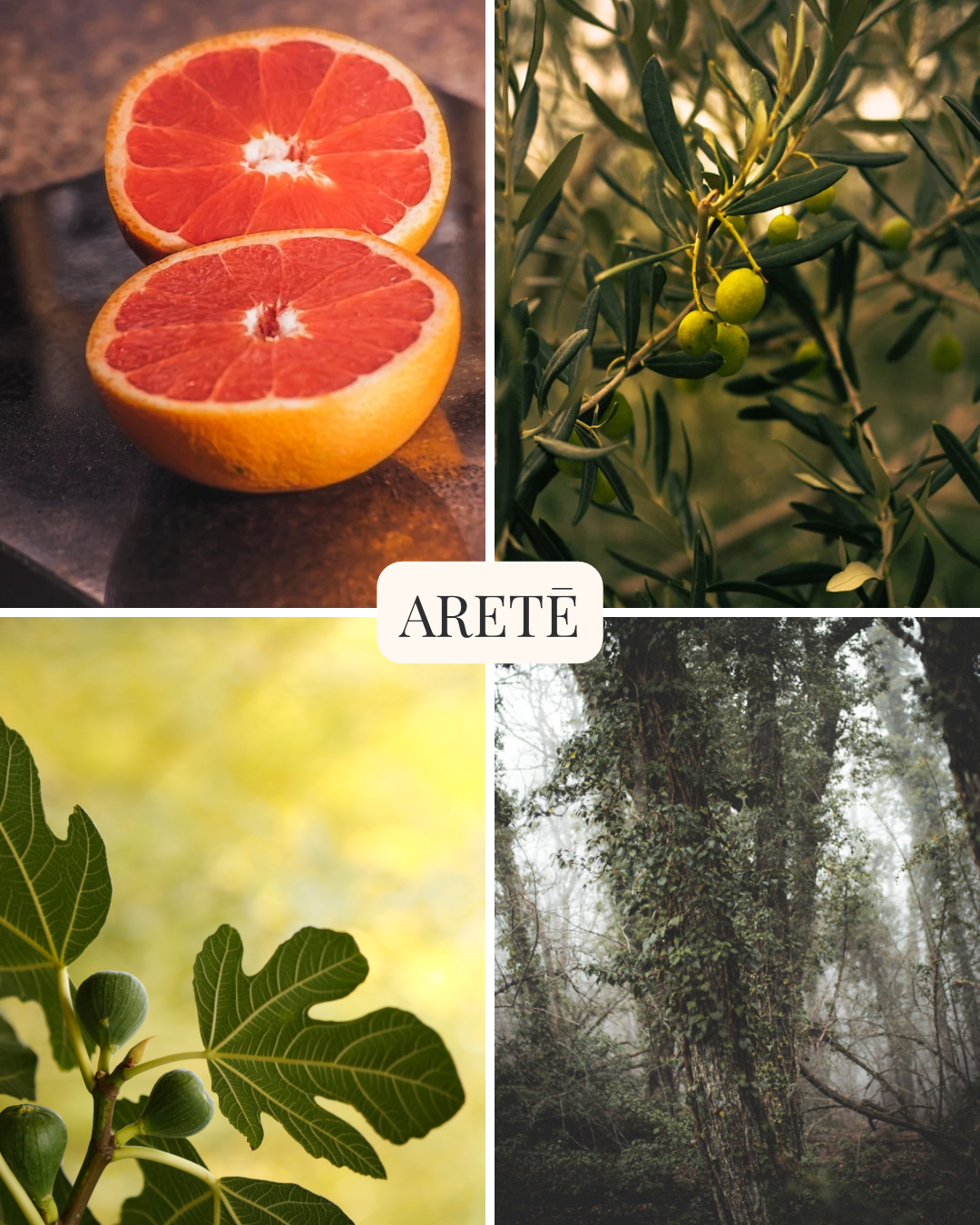 Fragrance Visuals - Aretē Visual.png