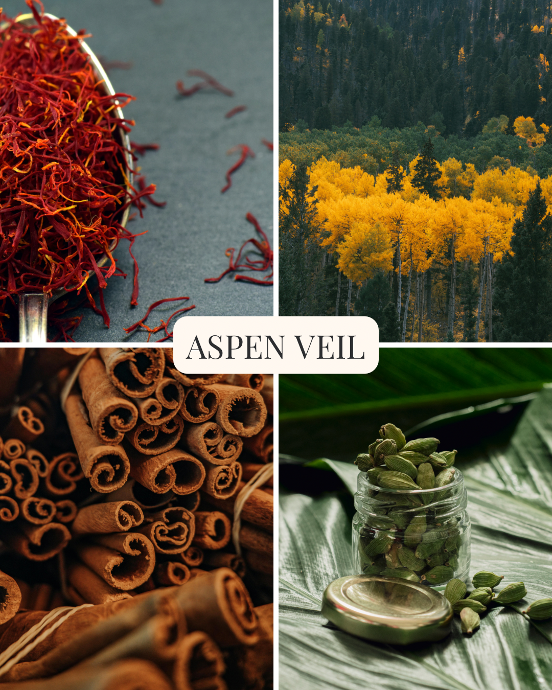 Fragrance Visuals - Aspen Veil Visual.png