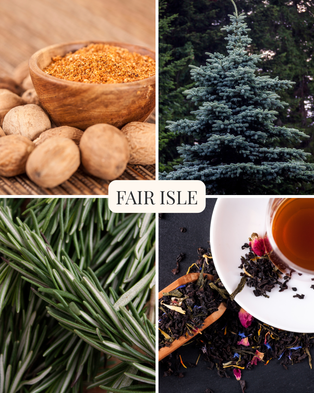 Fragrance Visuals - Fair Isle Visual.png